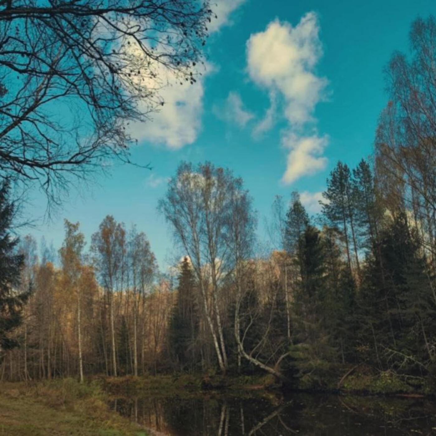 Релиз lowland