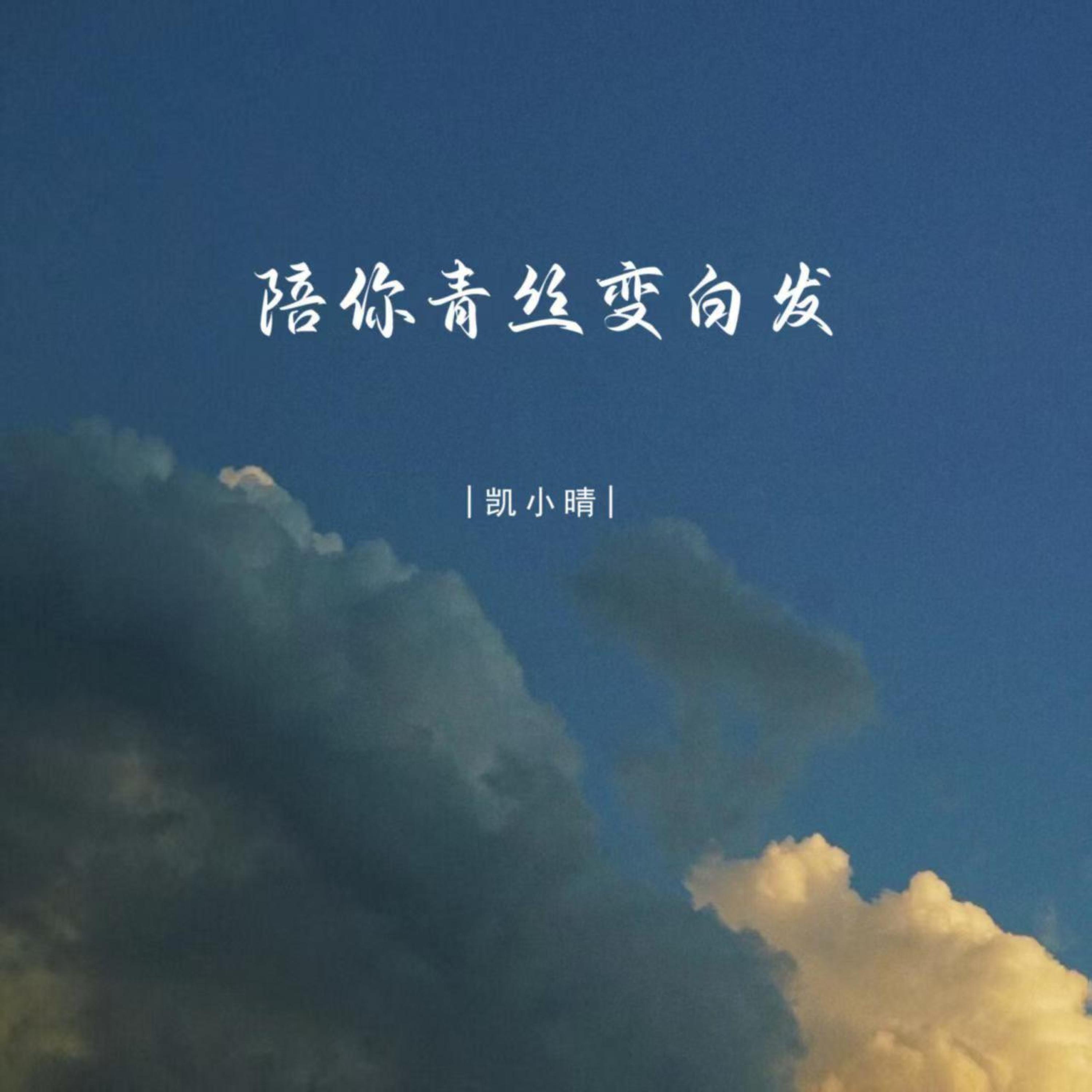 Релиз 陪你青丝变白发