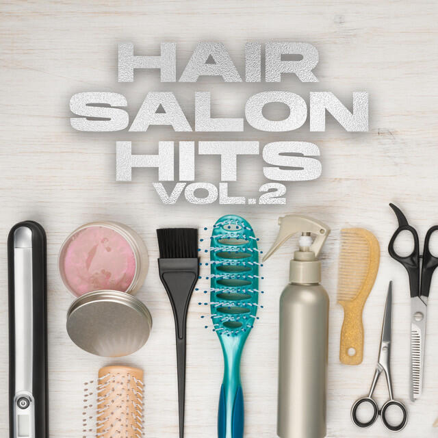 Релиз Hair Salon Hits: Vol. 2