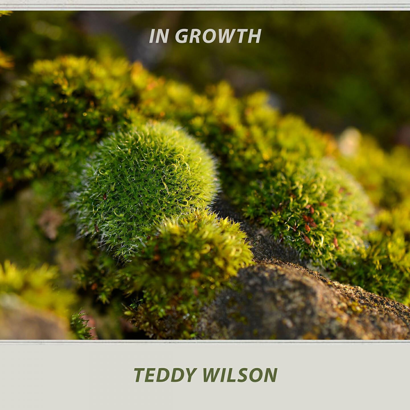 Teddy Wilson & His Orchestra, Teddy Wilson Quartet
