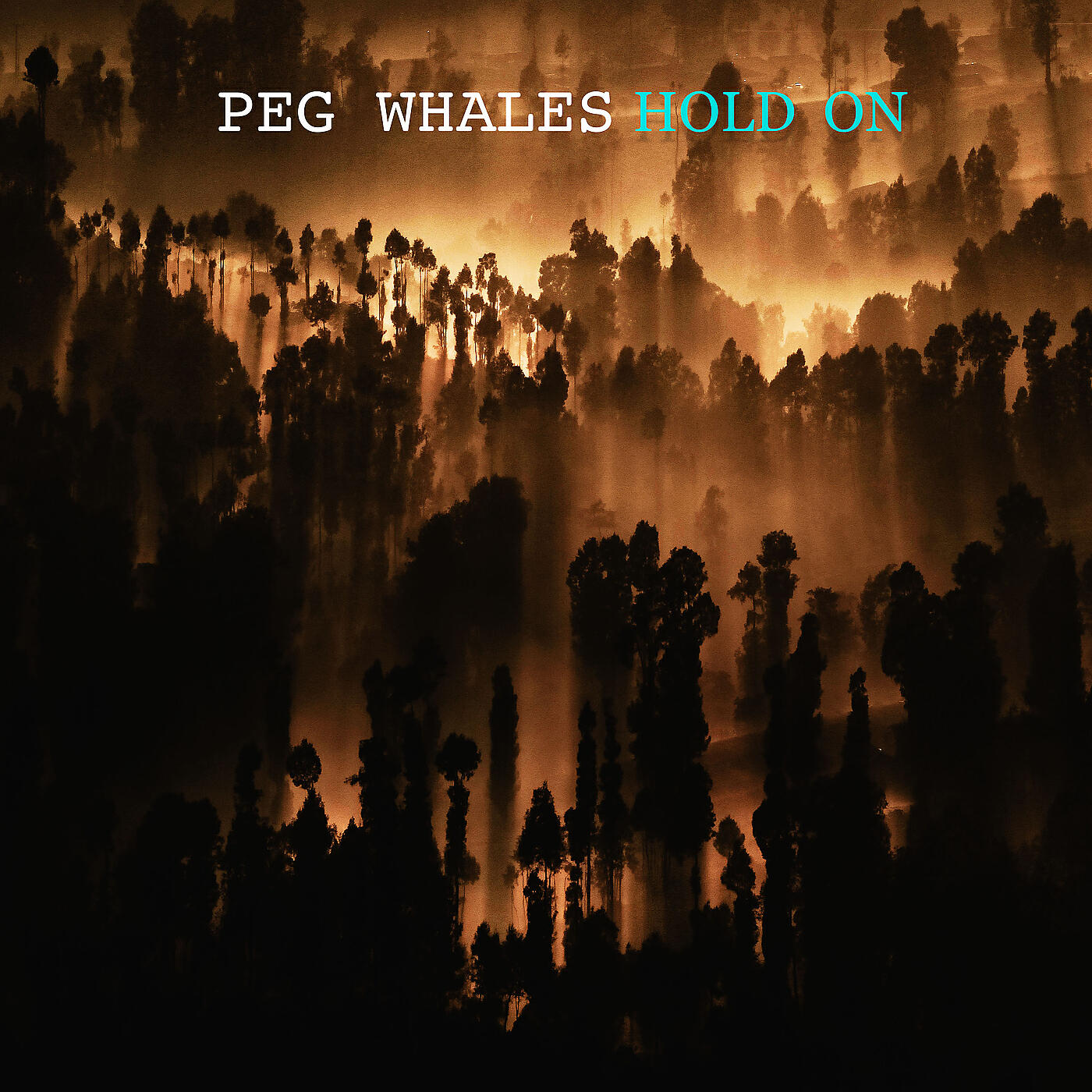 PEG WHALES