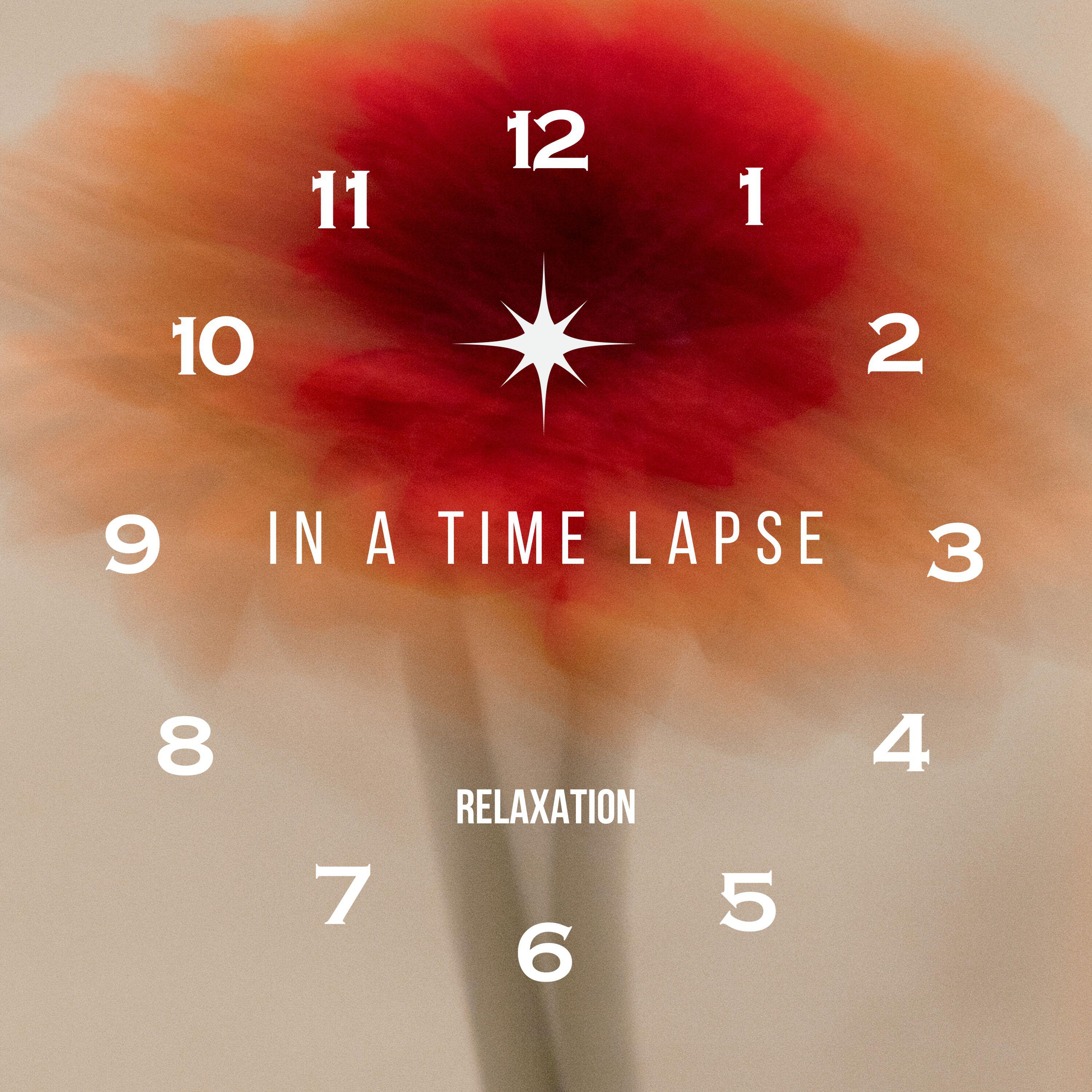 Релиз In a Time Lapse