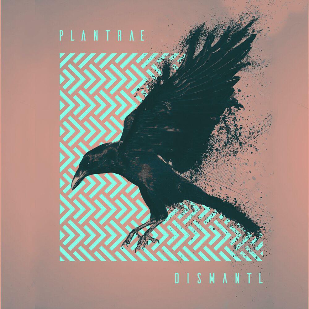 Plantrae