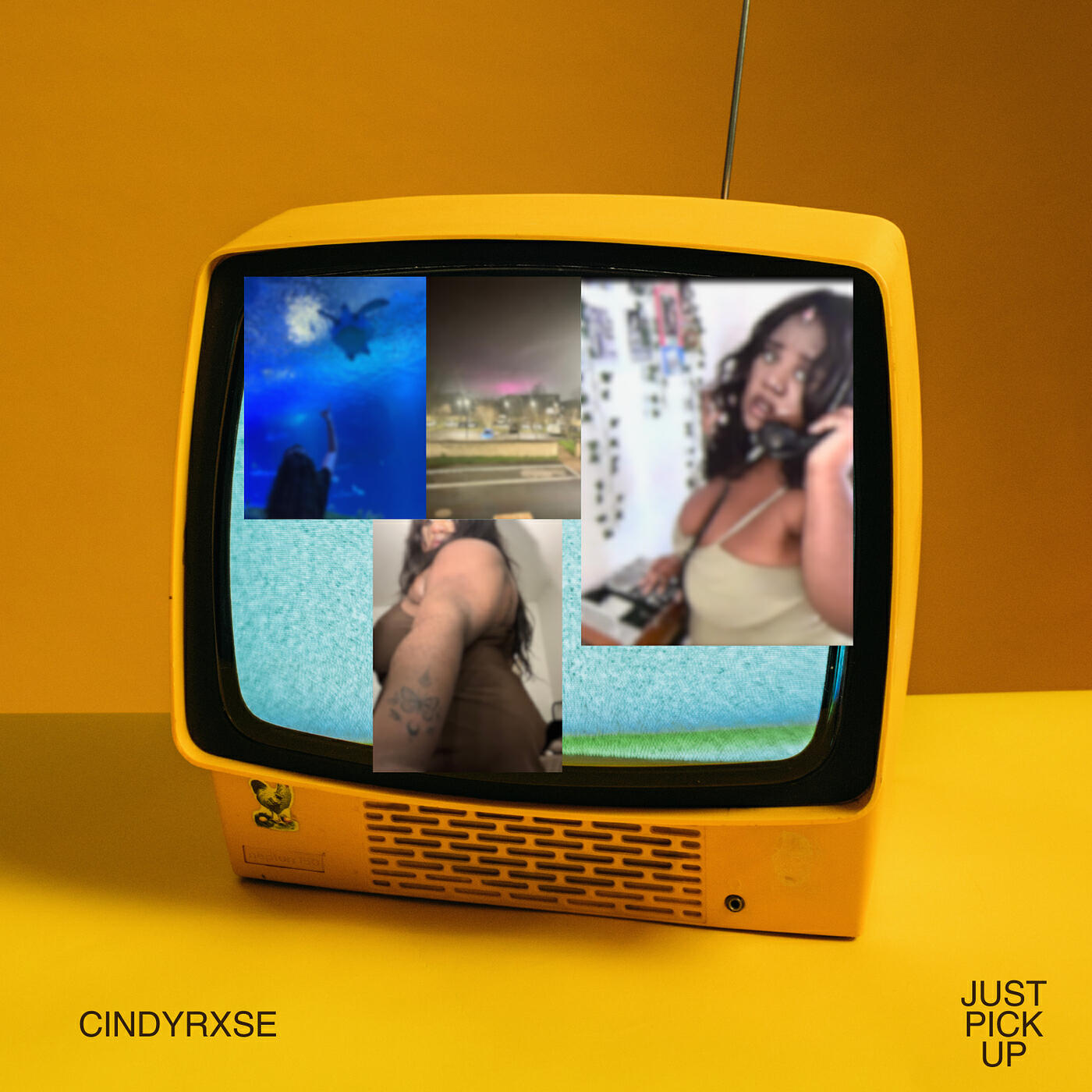 cindyrxse