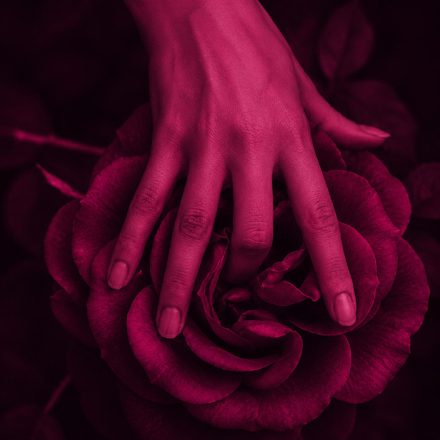 Релиз Forbidden Touch