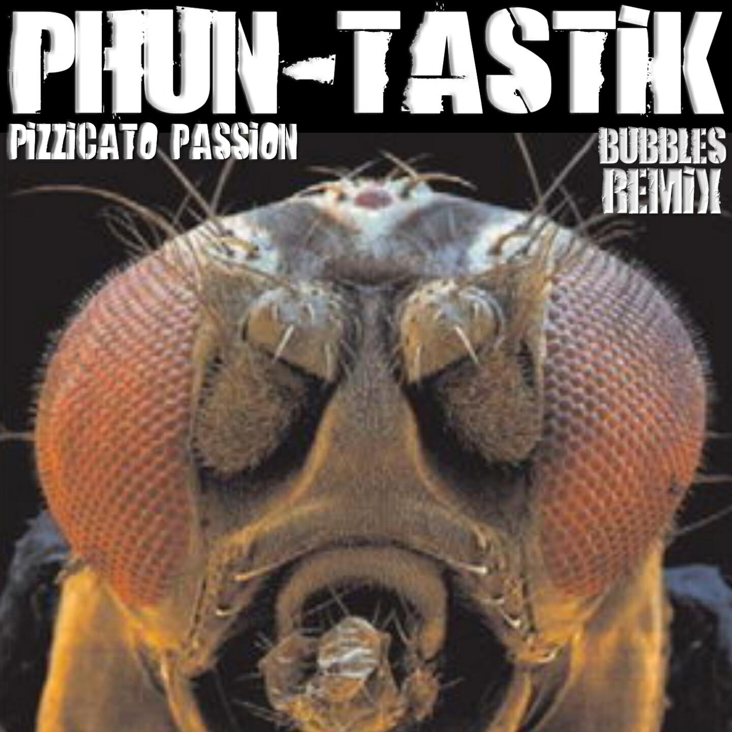 Релиз Pizzicato Passion
