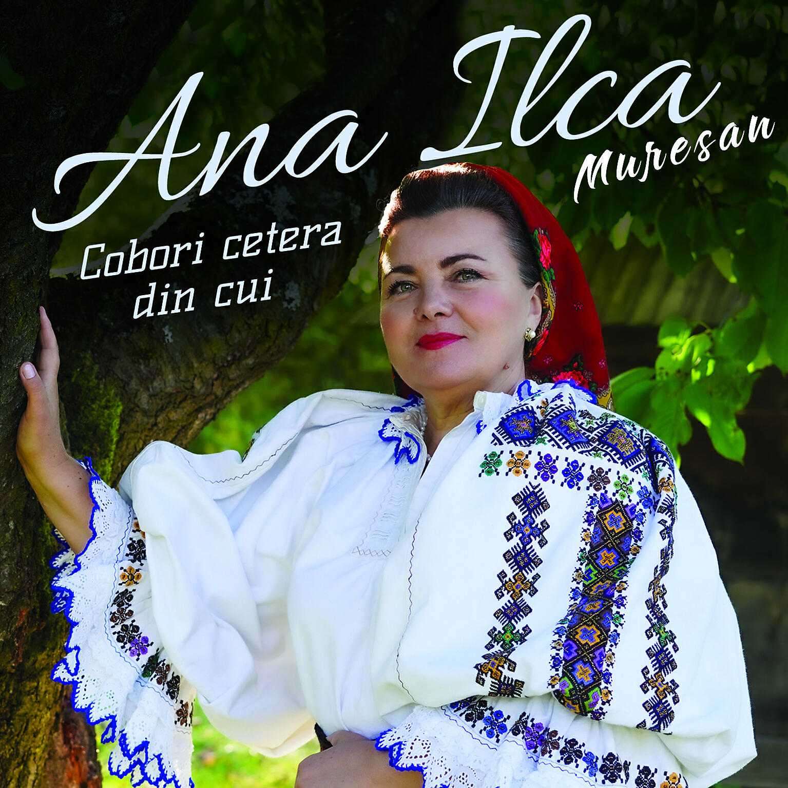 Ana Ilca