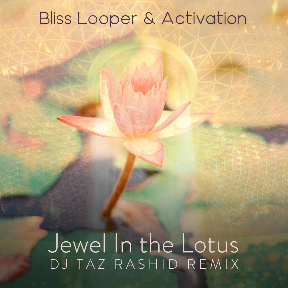 Релиз Jewel in the Lotus (DJ Taz Rashid Remix)