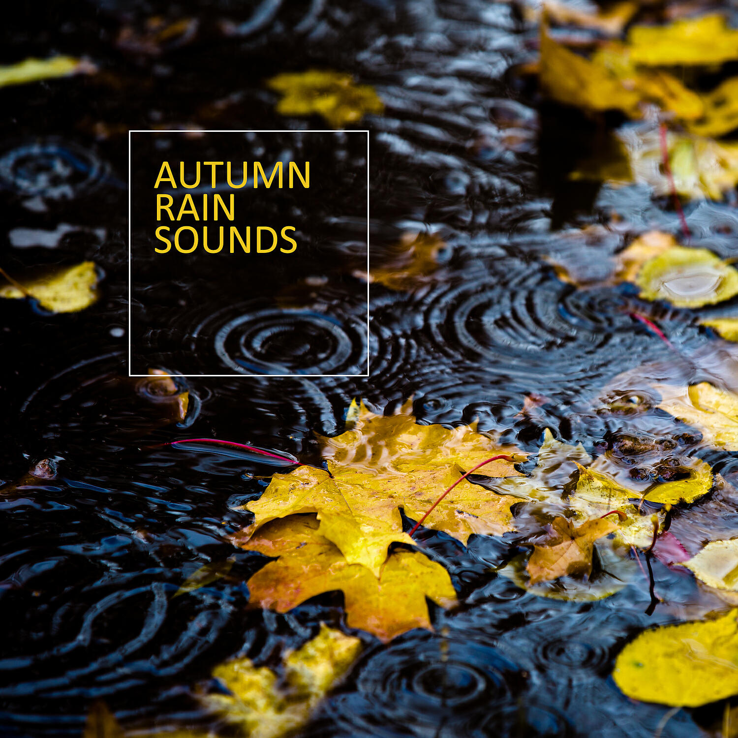 Rain Sounds Effects