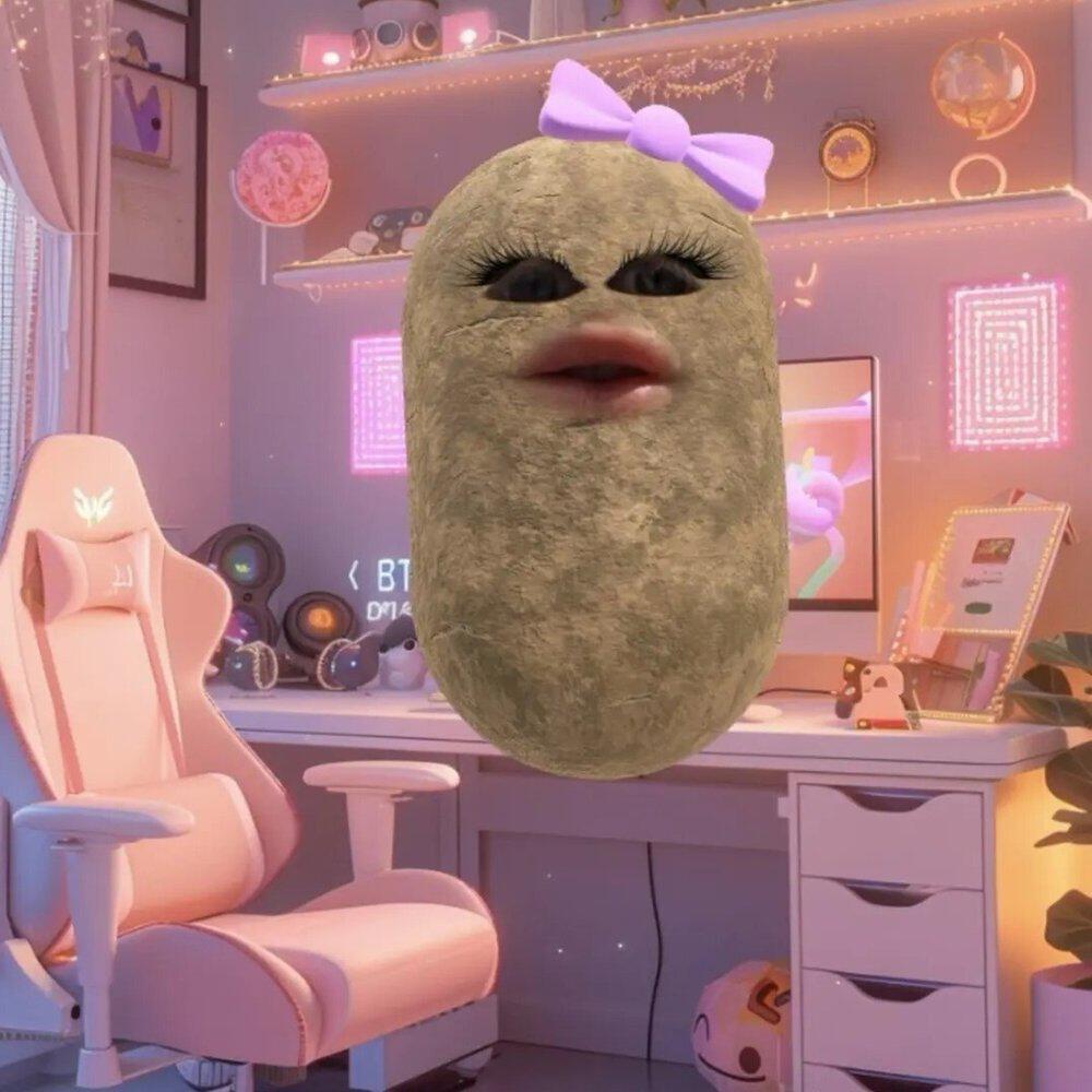 Релиз МОЙ МАНДАРИН