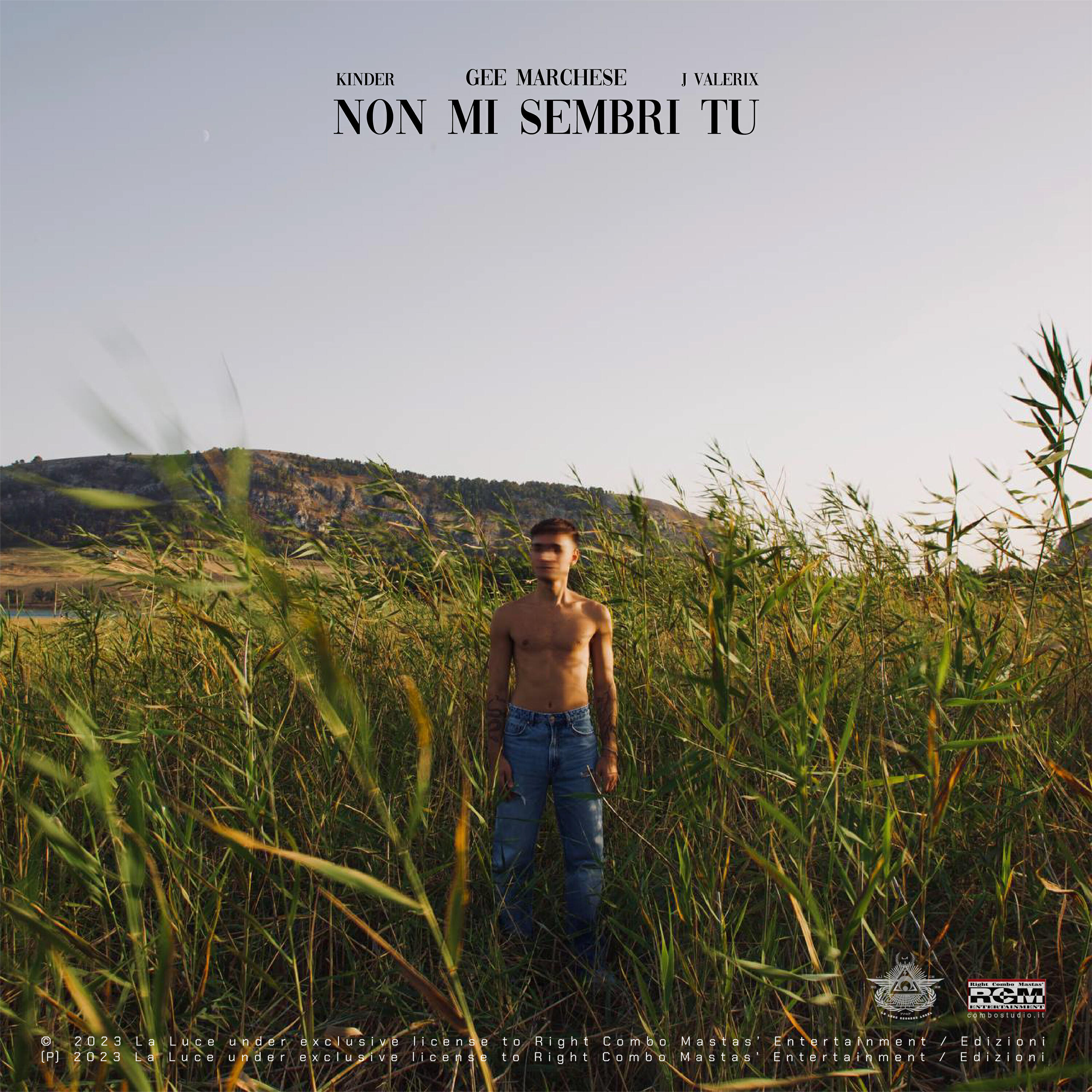 Релиз Non Mi Sembri Tu