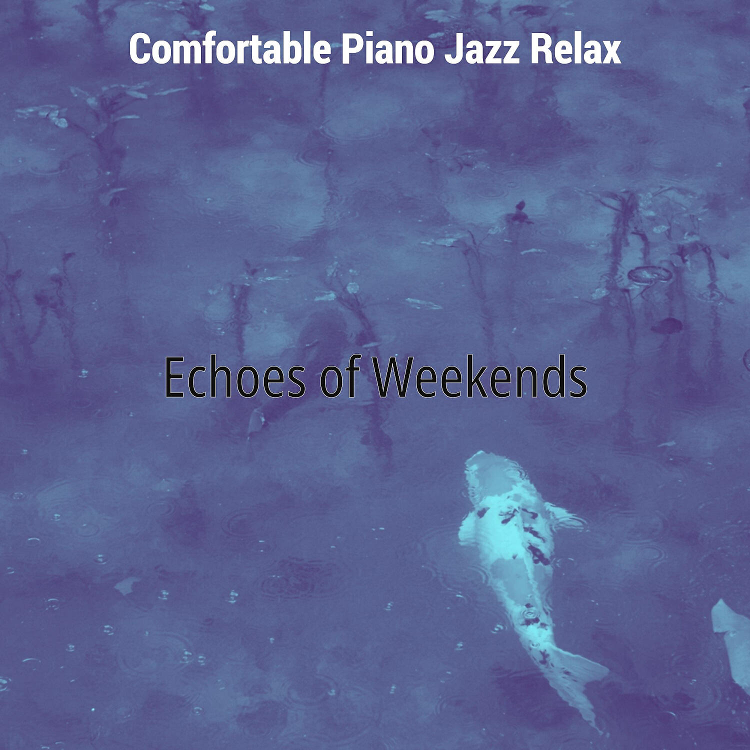 Релиз Echoes of Weekends