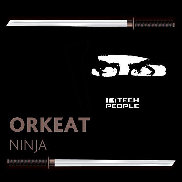 Релиз Ninja