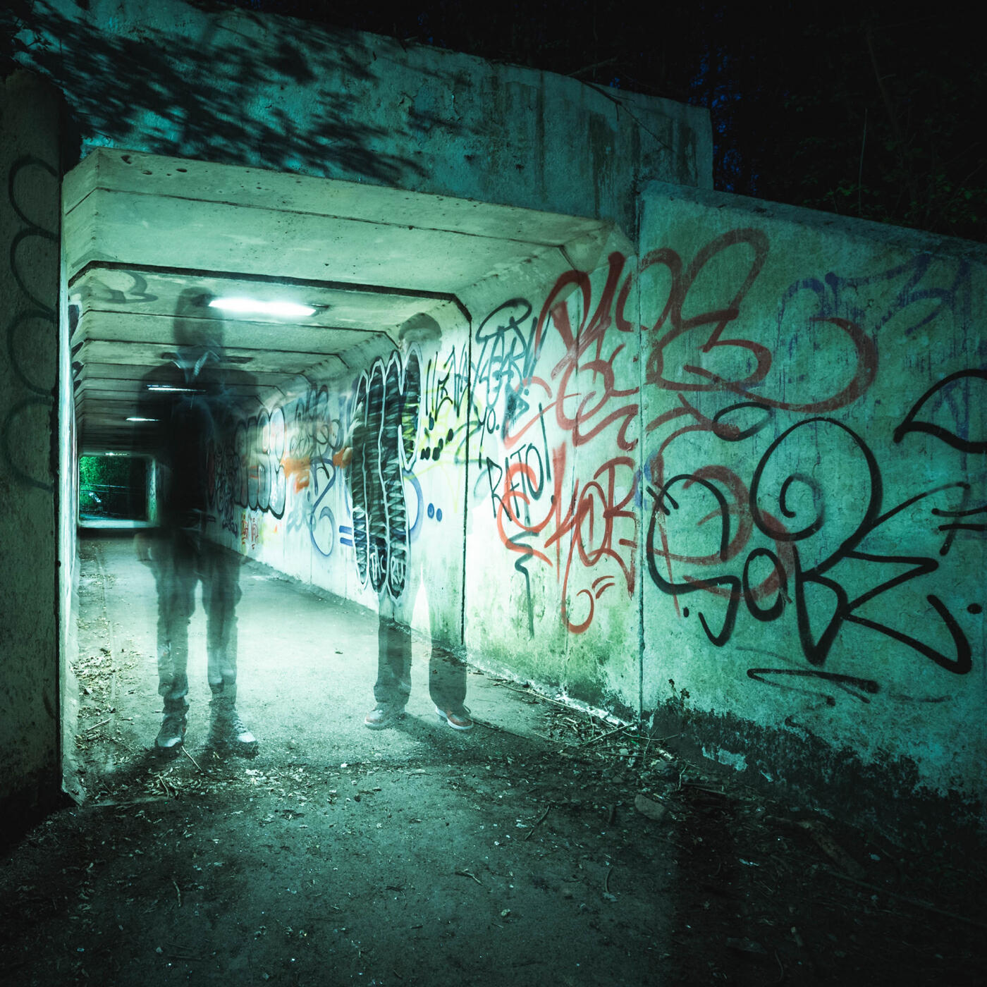 Релиз Shegry