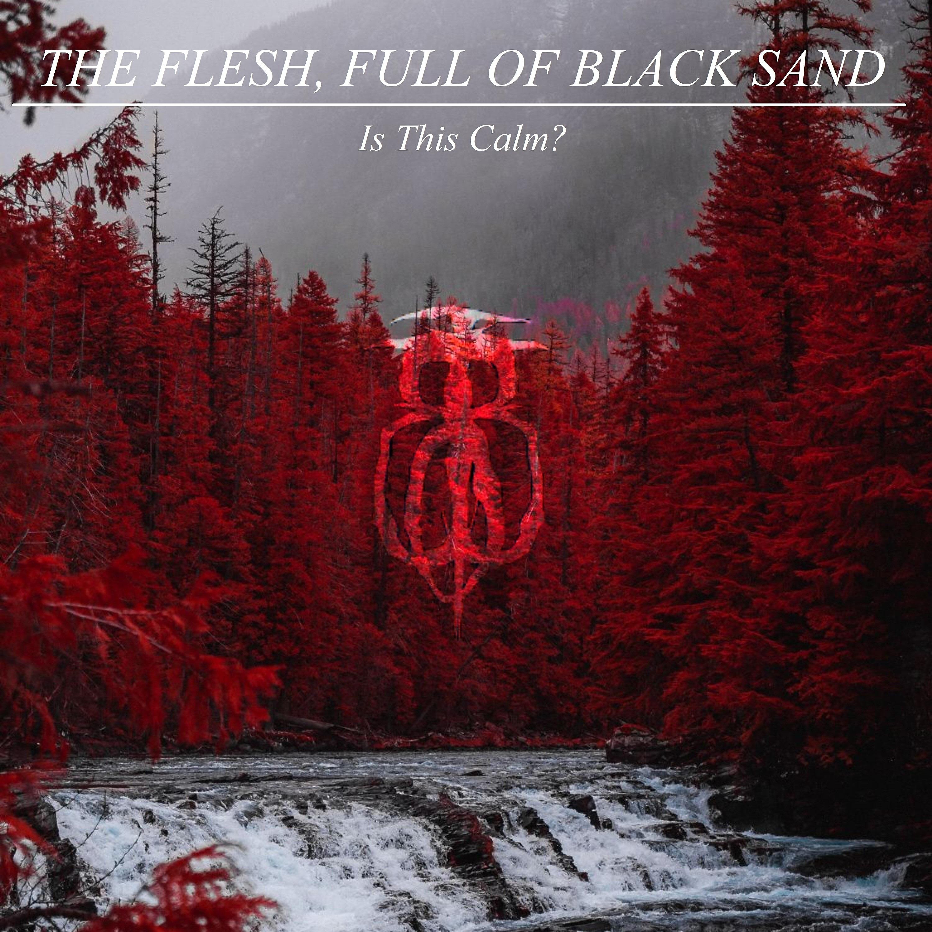 Релиз Is This Calm?