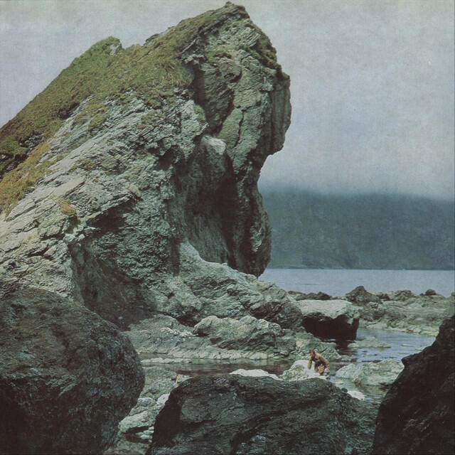 Релиз Many Nights