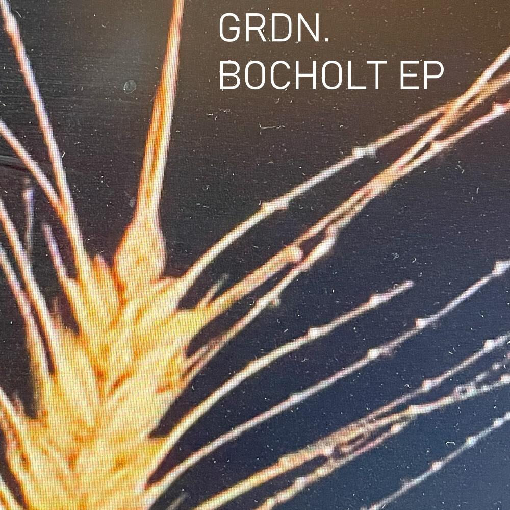 Релиз Bocholt EP