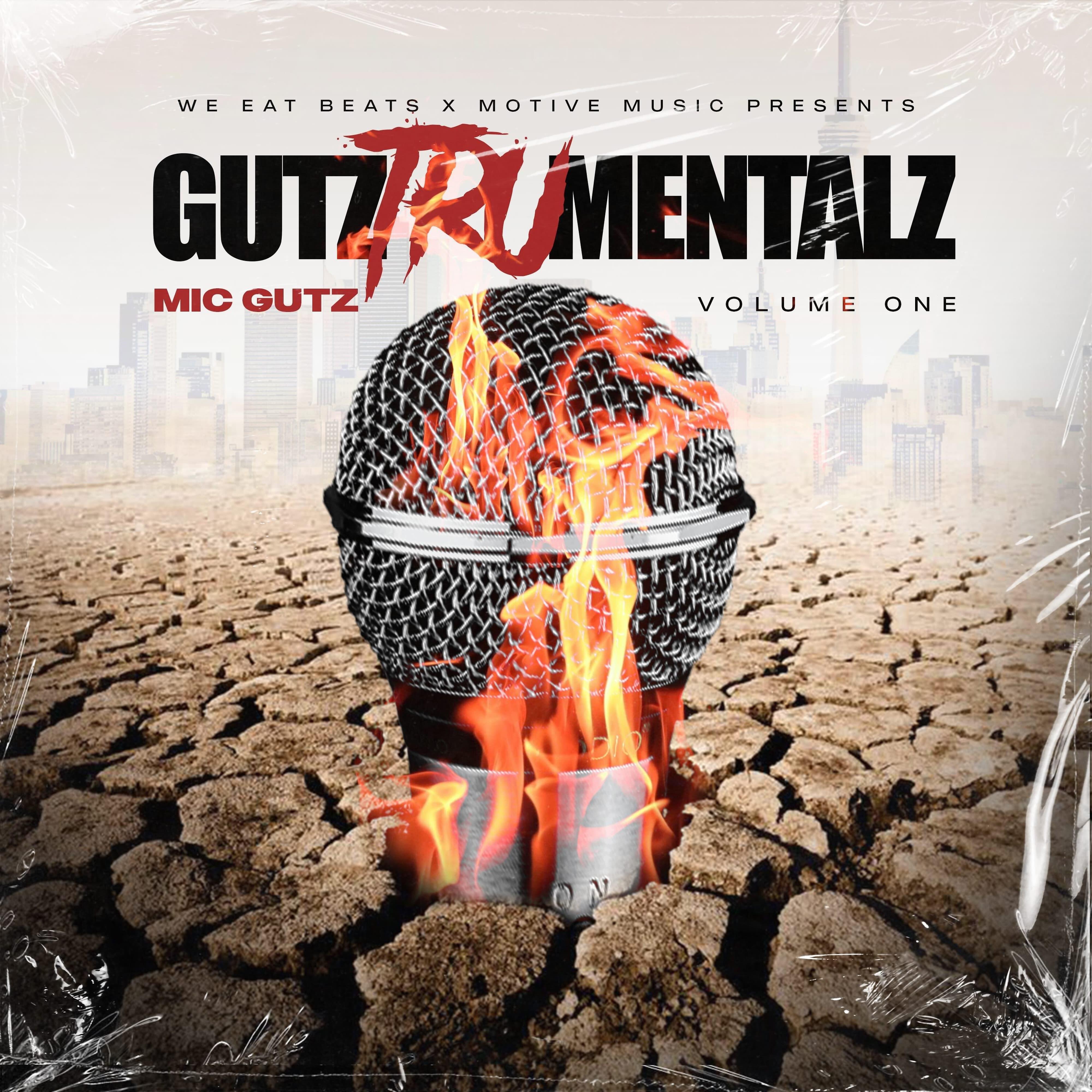 Mic Gutz
