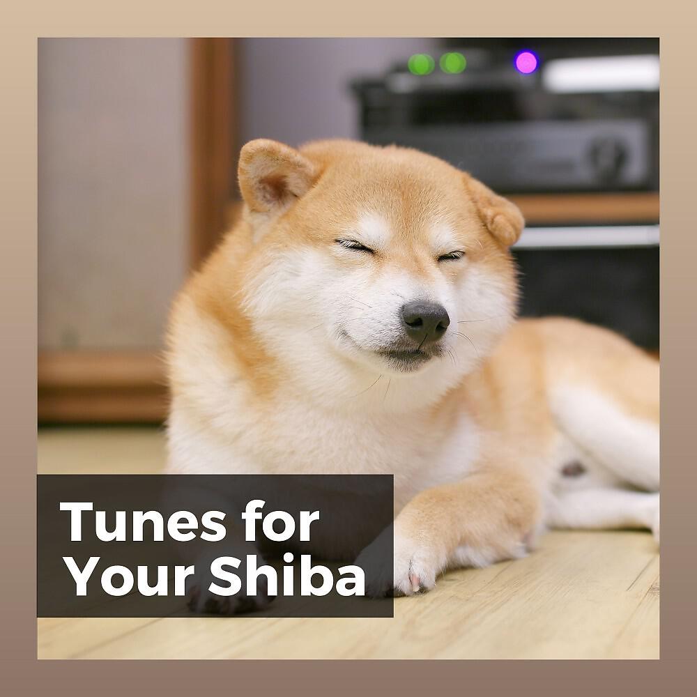 Релиз Tunes for Your Shiba