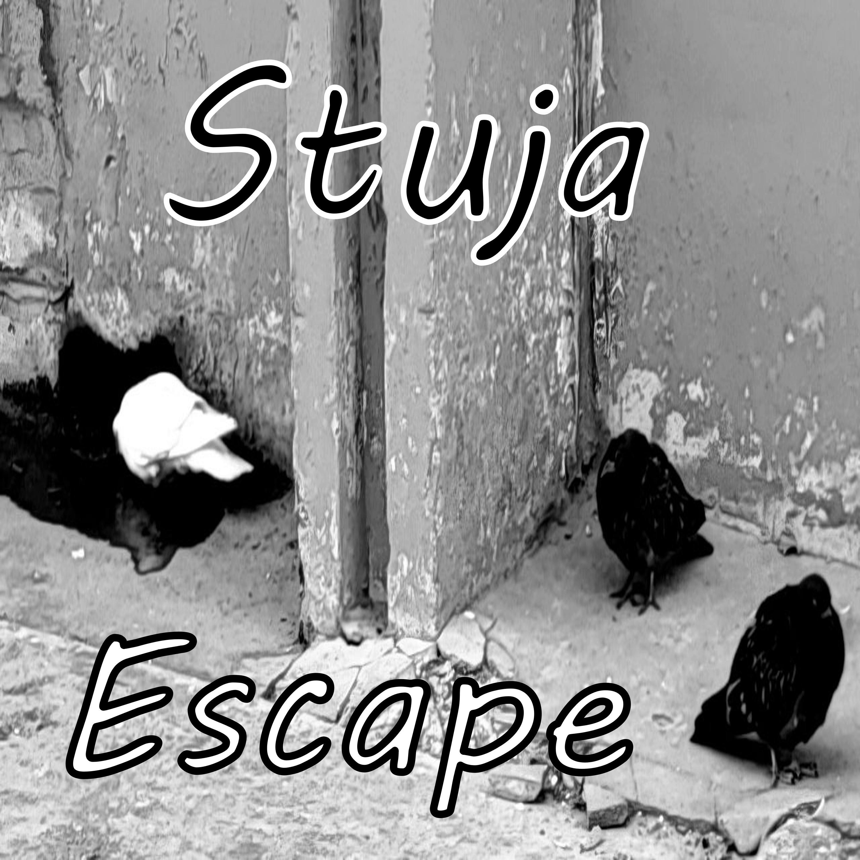 Релиз Escape