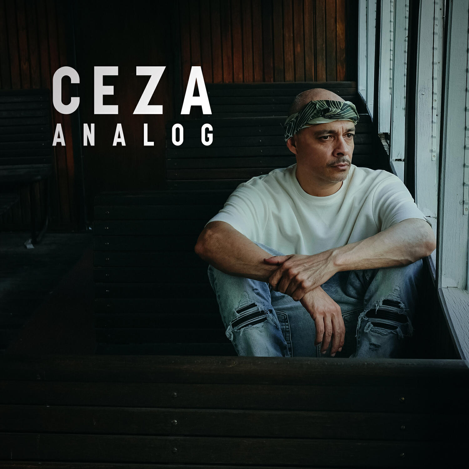 Релиз Analog