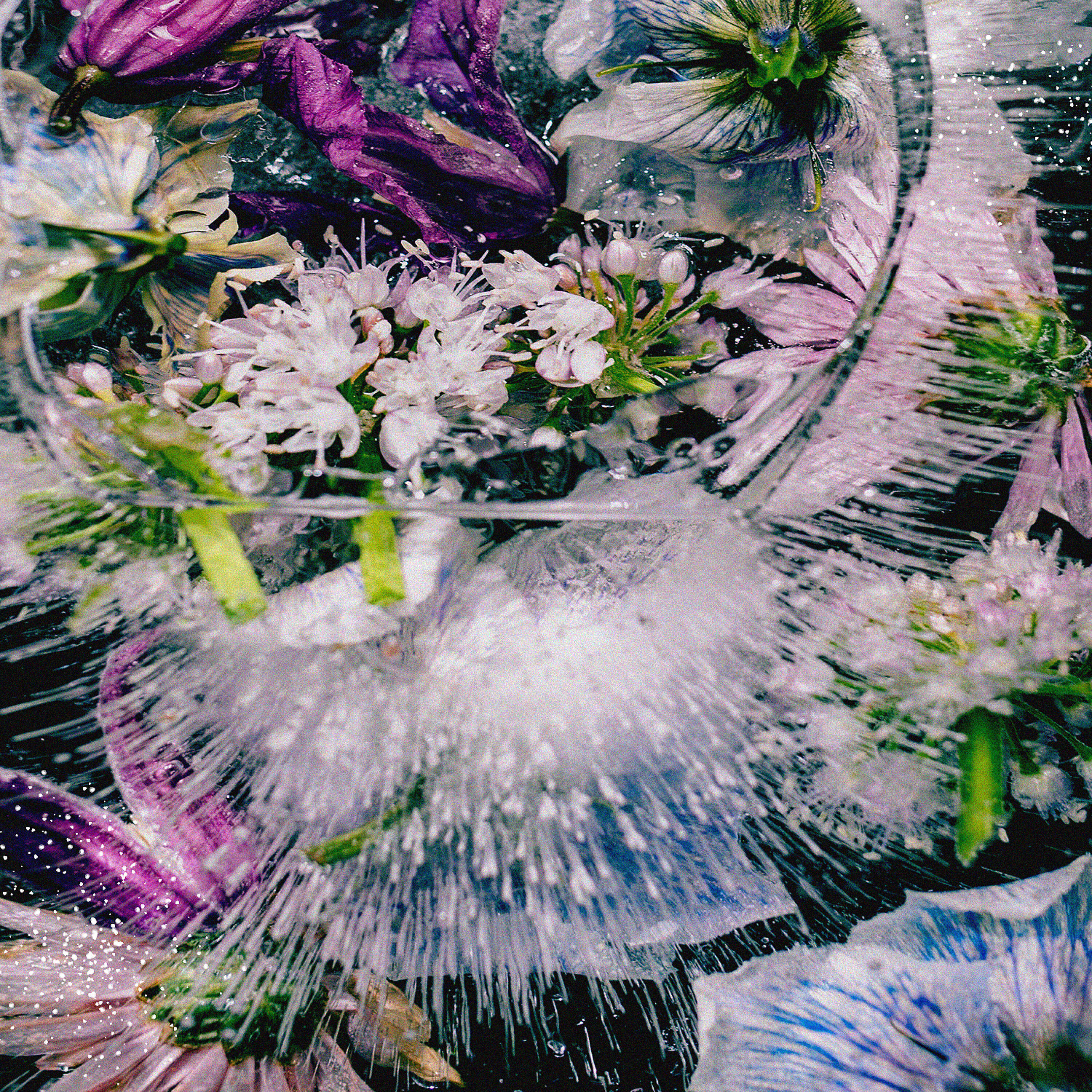 Релиз we're dying (Remix Pack)