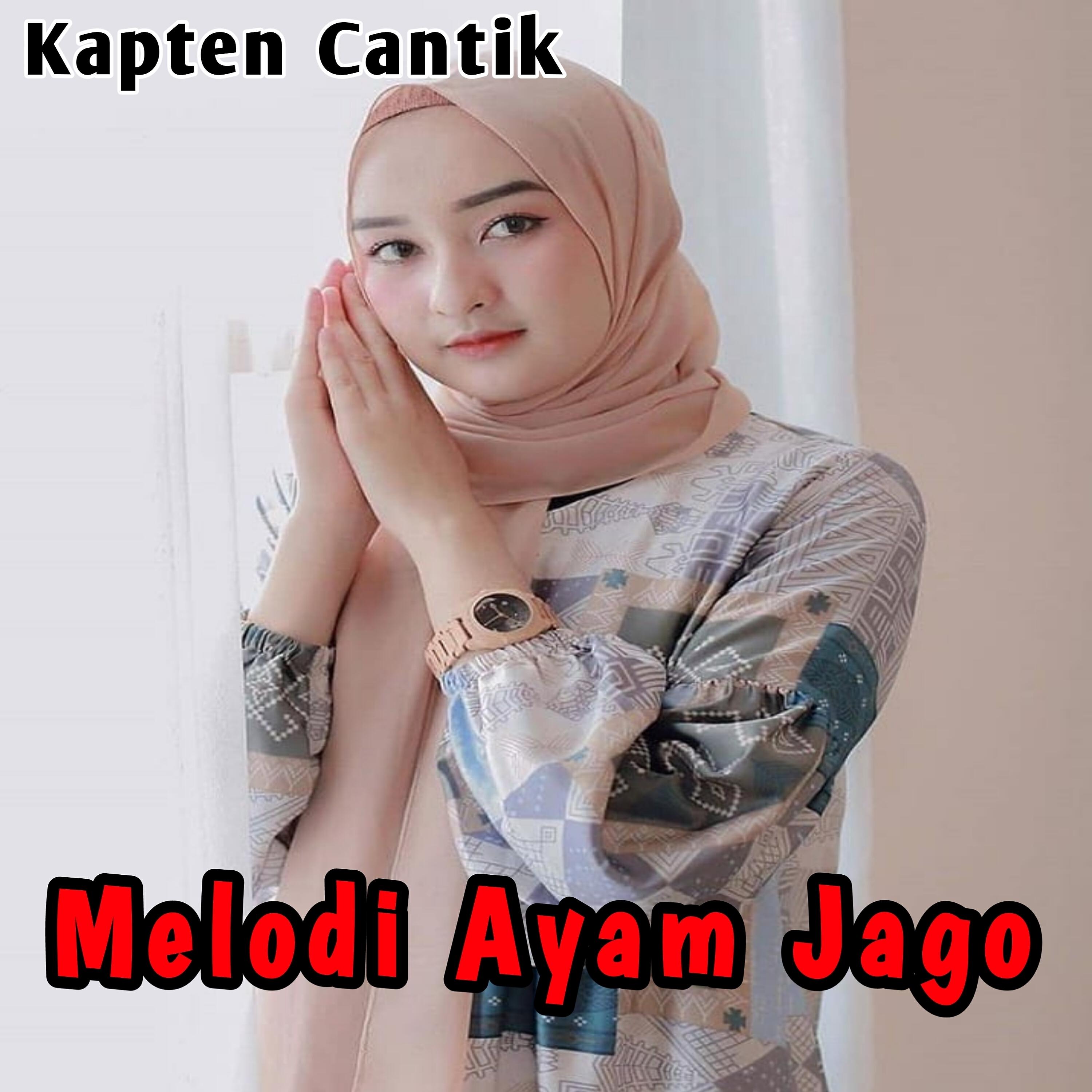 Релиз Melodi Ayam Jago