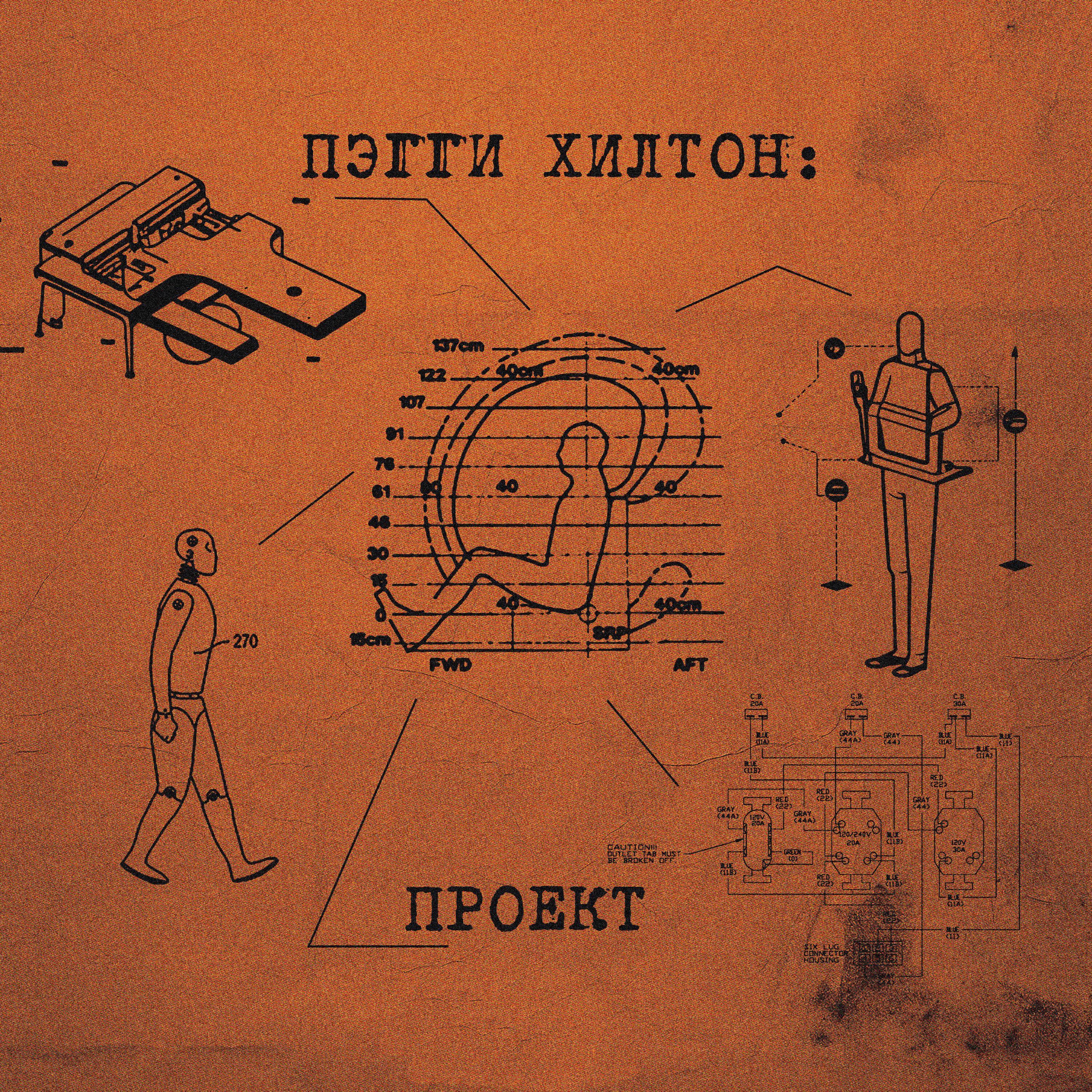 Пэгги Хилтон