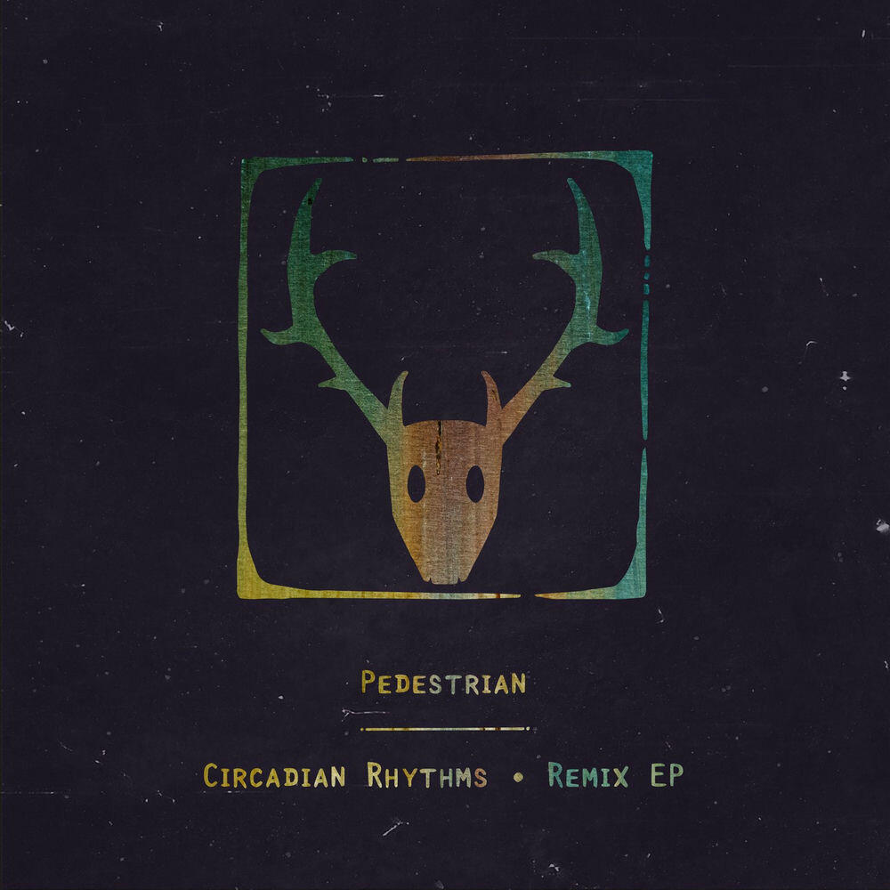 Релиз Circadian Rhythms (Remix)