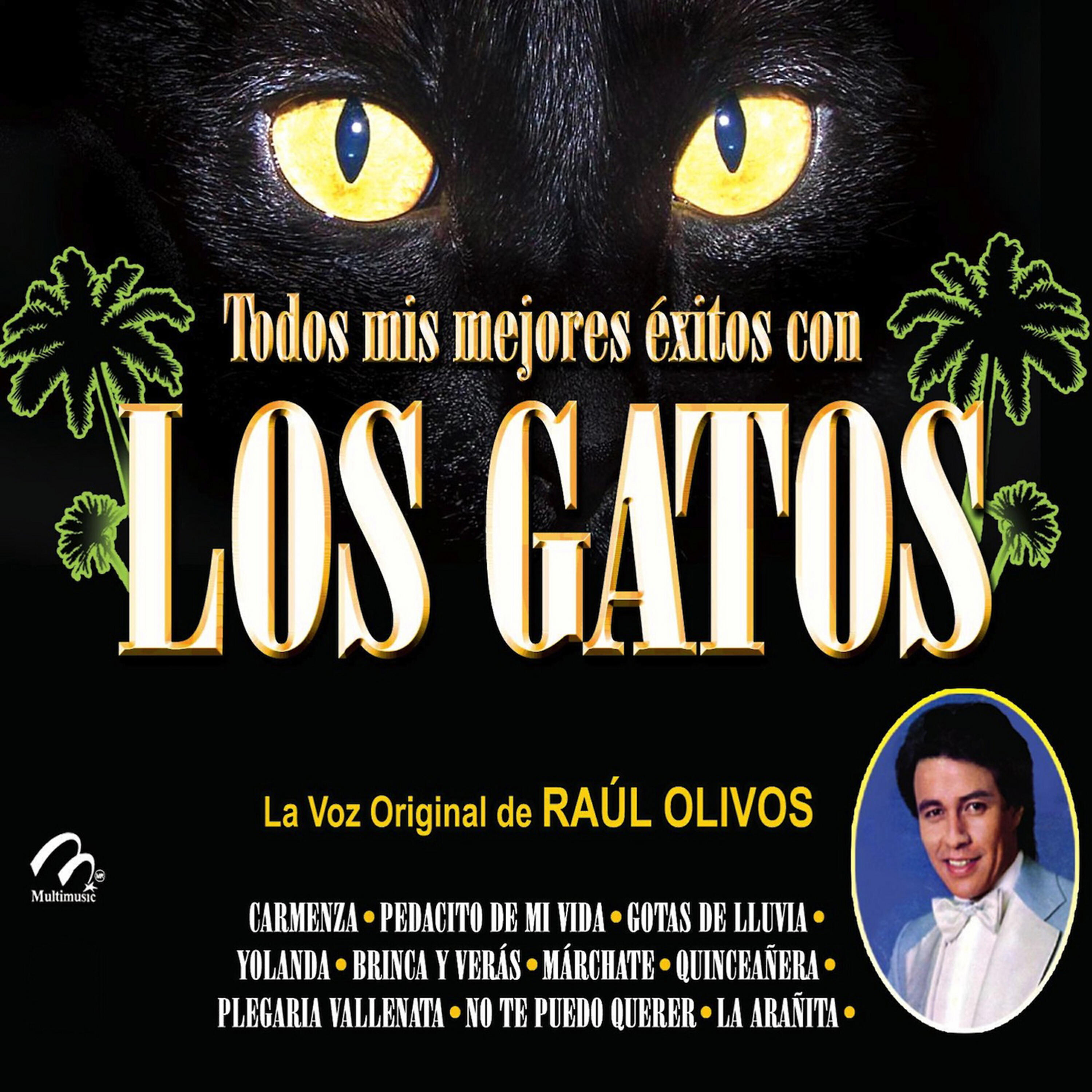 Релиз Todos Mis Mejores Éxitos de los Gatos