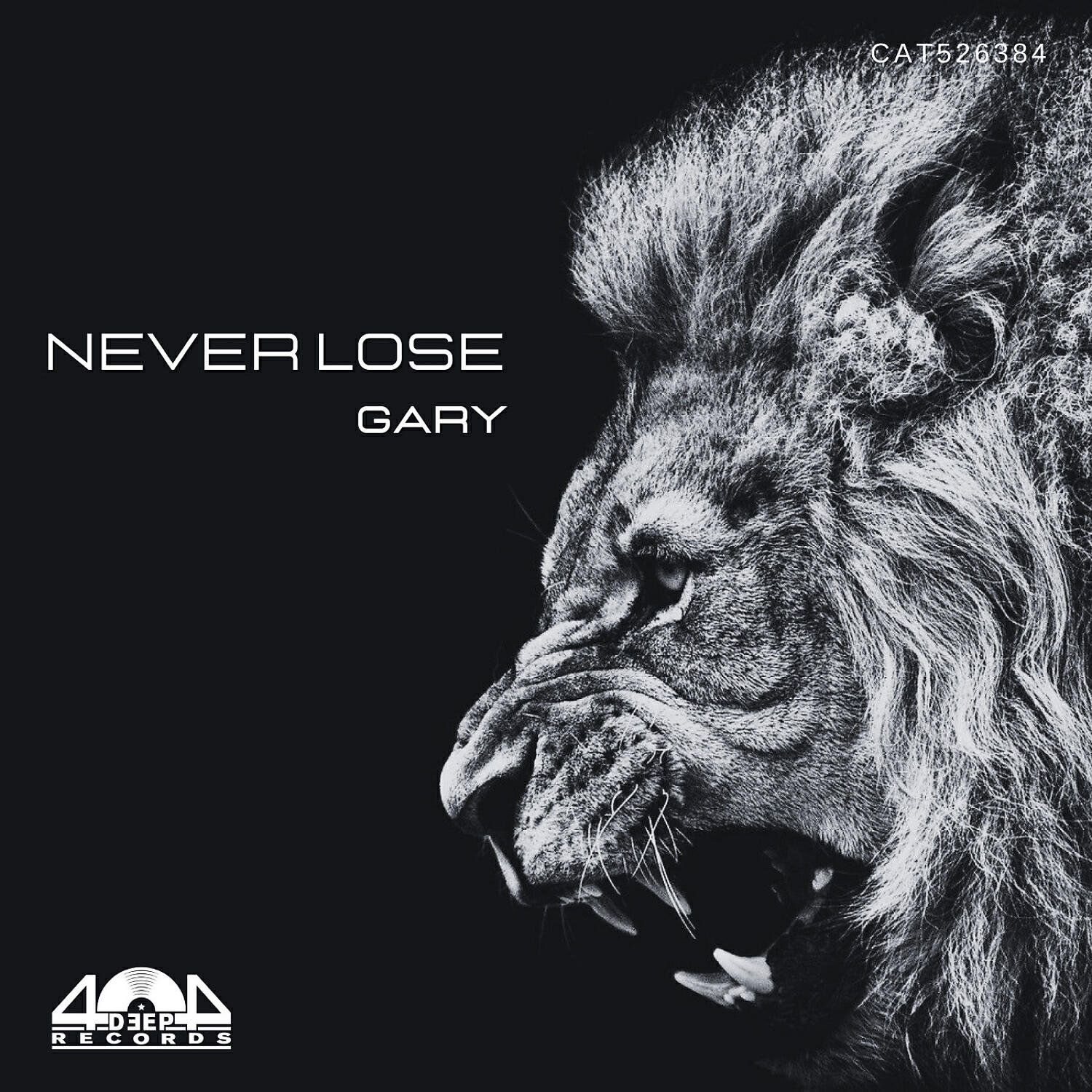 Постер альбома Never Lose