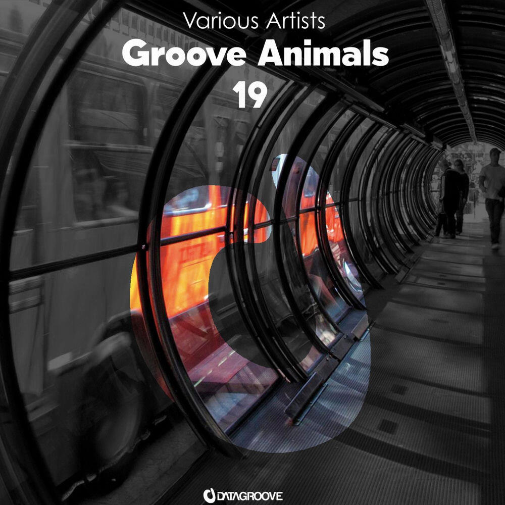 Релиз Groove Animals 19