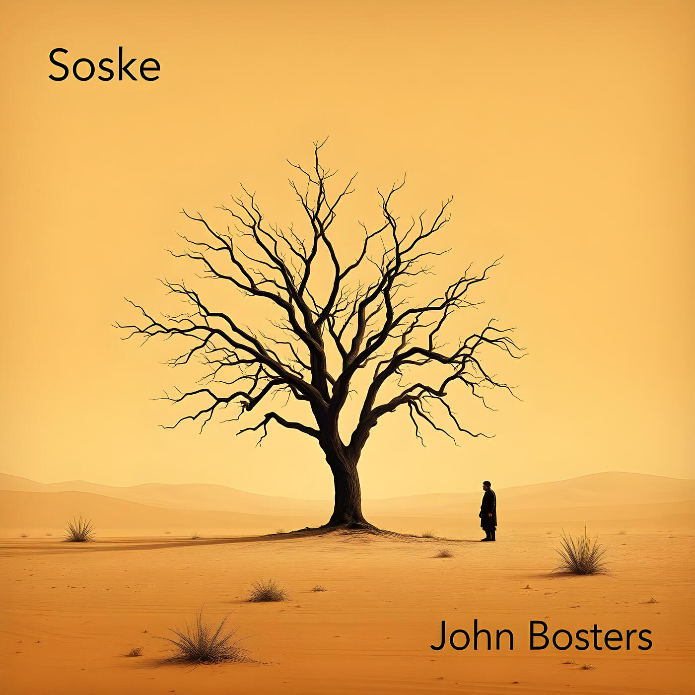 Релиз Soske