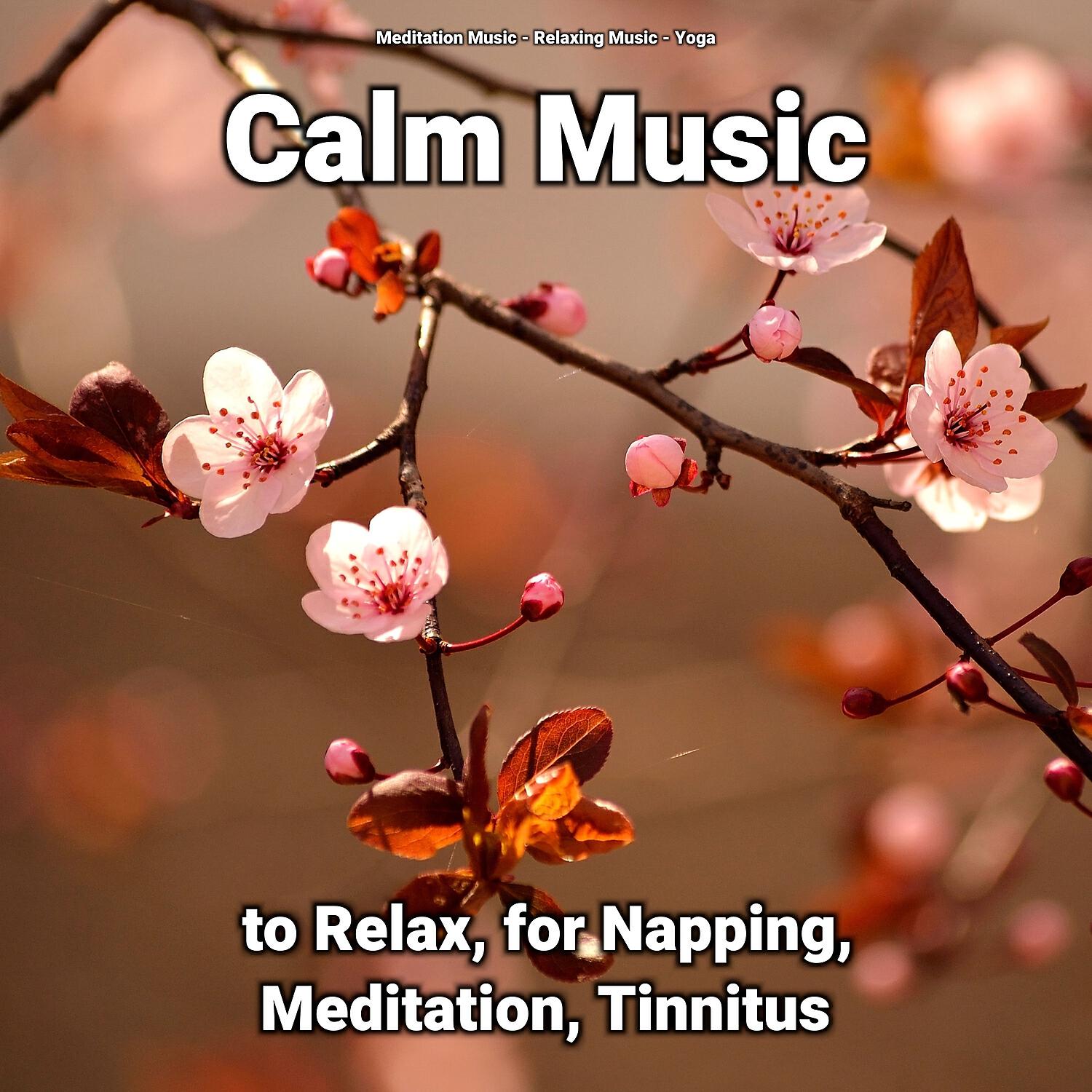 Релиз Calm Music to Relax, for Napping, Meditation, Tinnitus