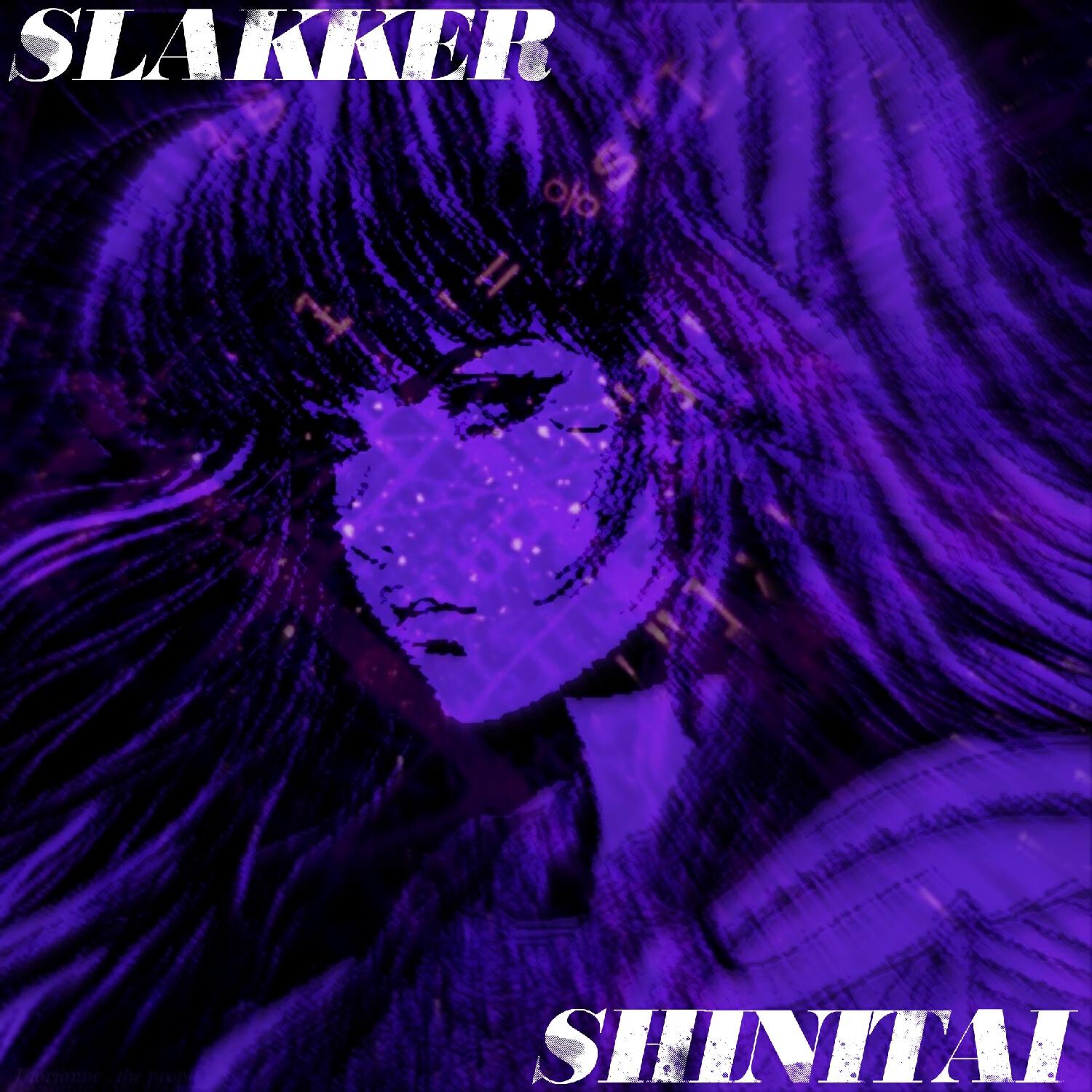 Постер альбома Slakker