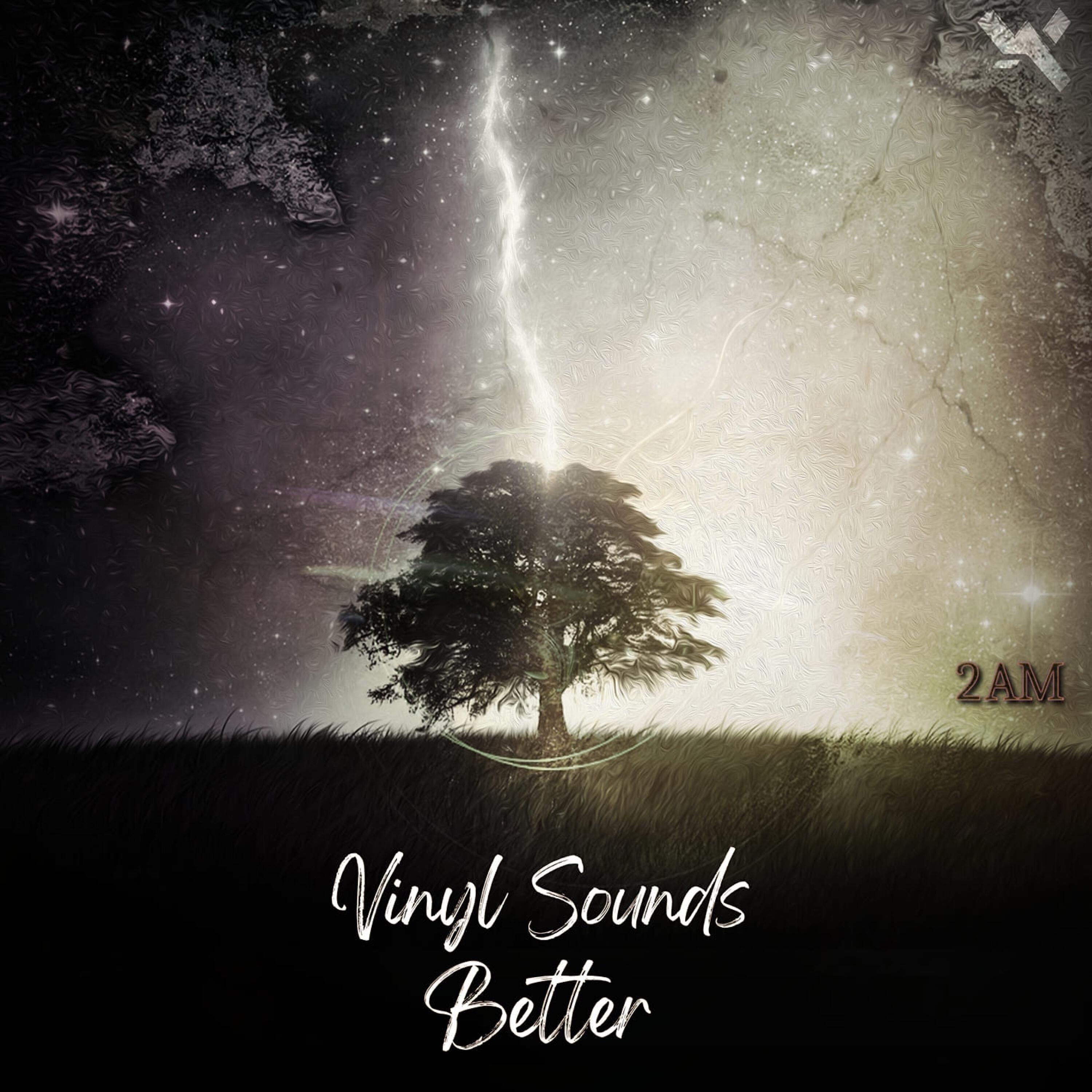 Релиз Vinyl Sounds Better