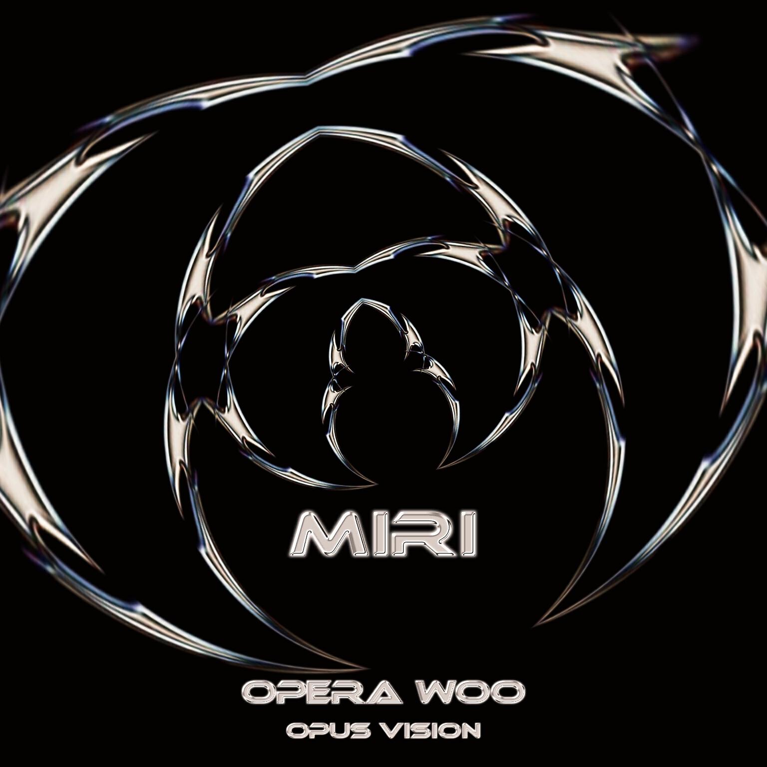 Релиз Miri