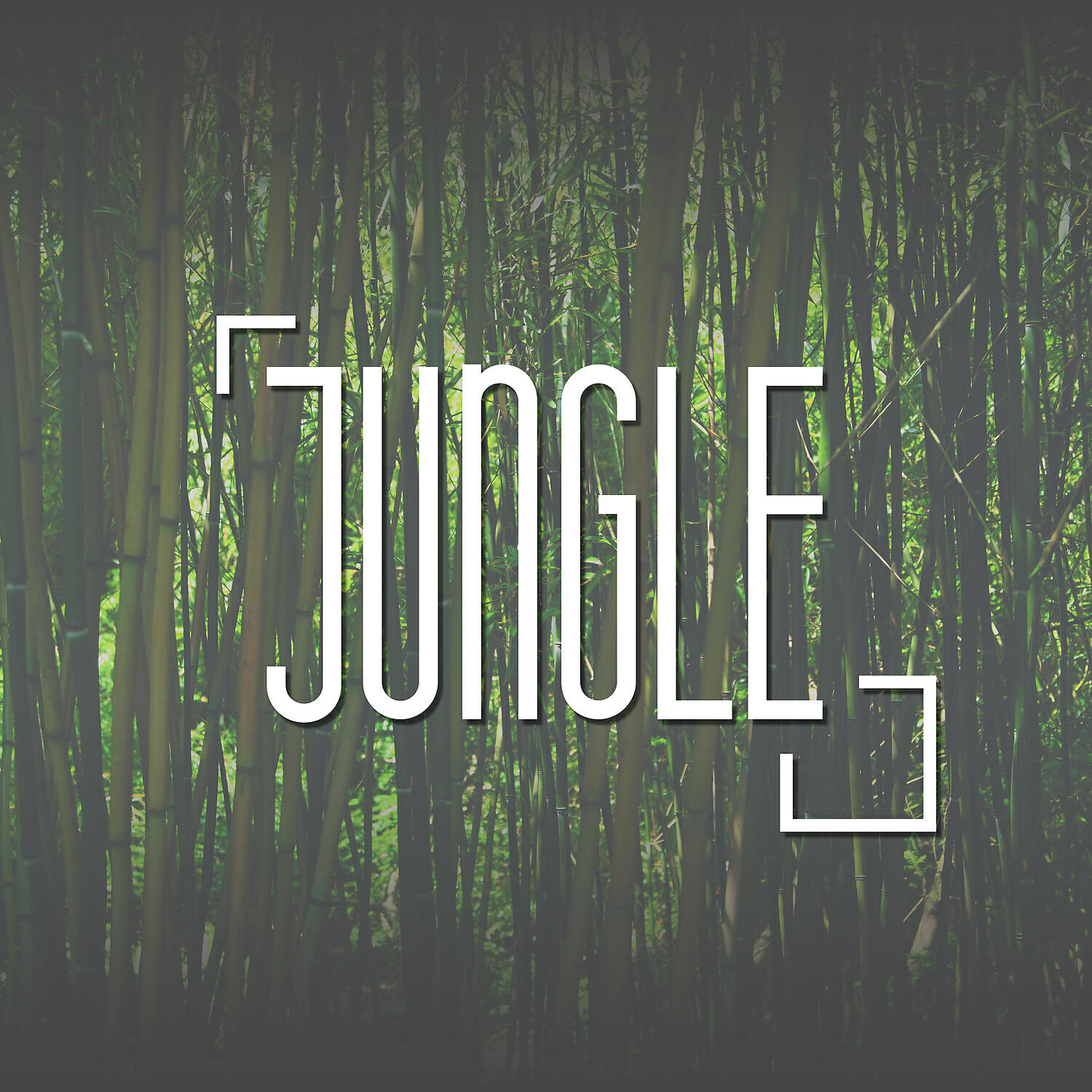 Релиз Jungle - Green Ferns, Fresh Air, Freedom, Calm, Quiet, Dancing on the Sand