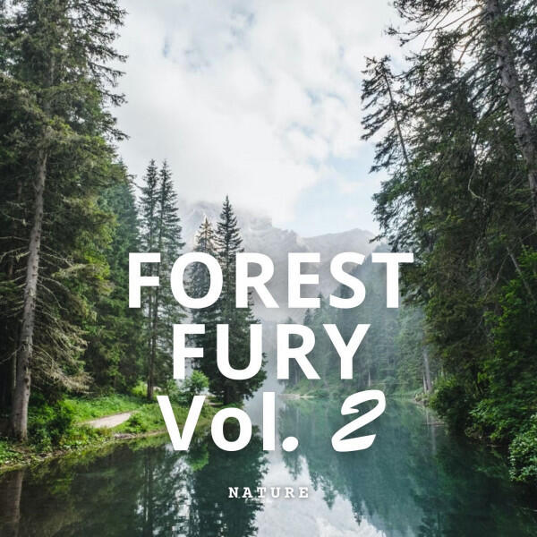 Релиз Nature: Forest Fury Vol. 2