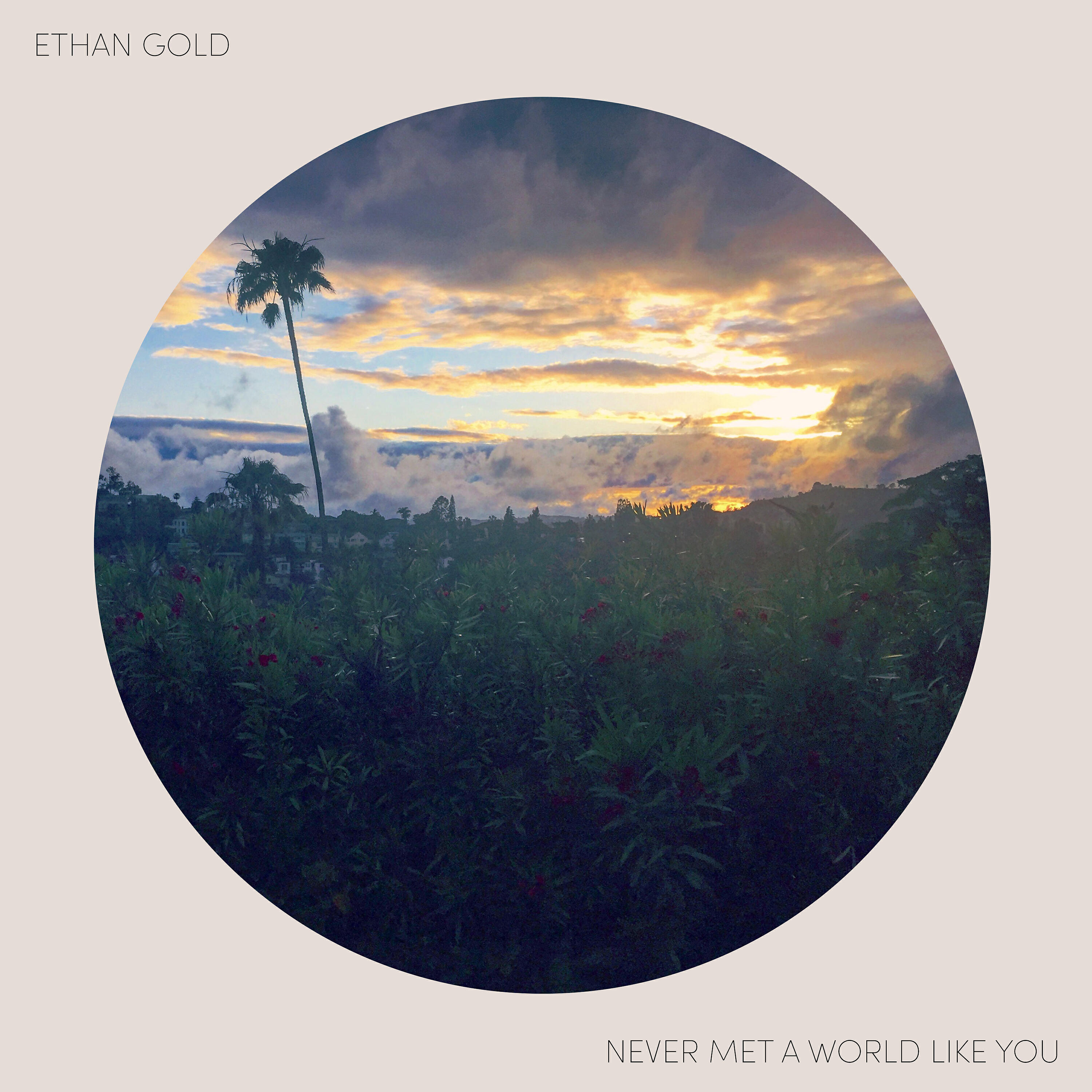 Релиз Never Met a World Like You