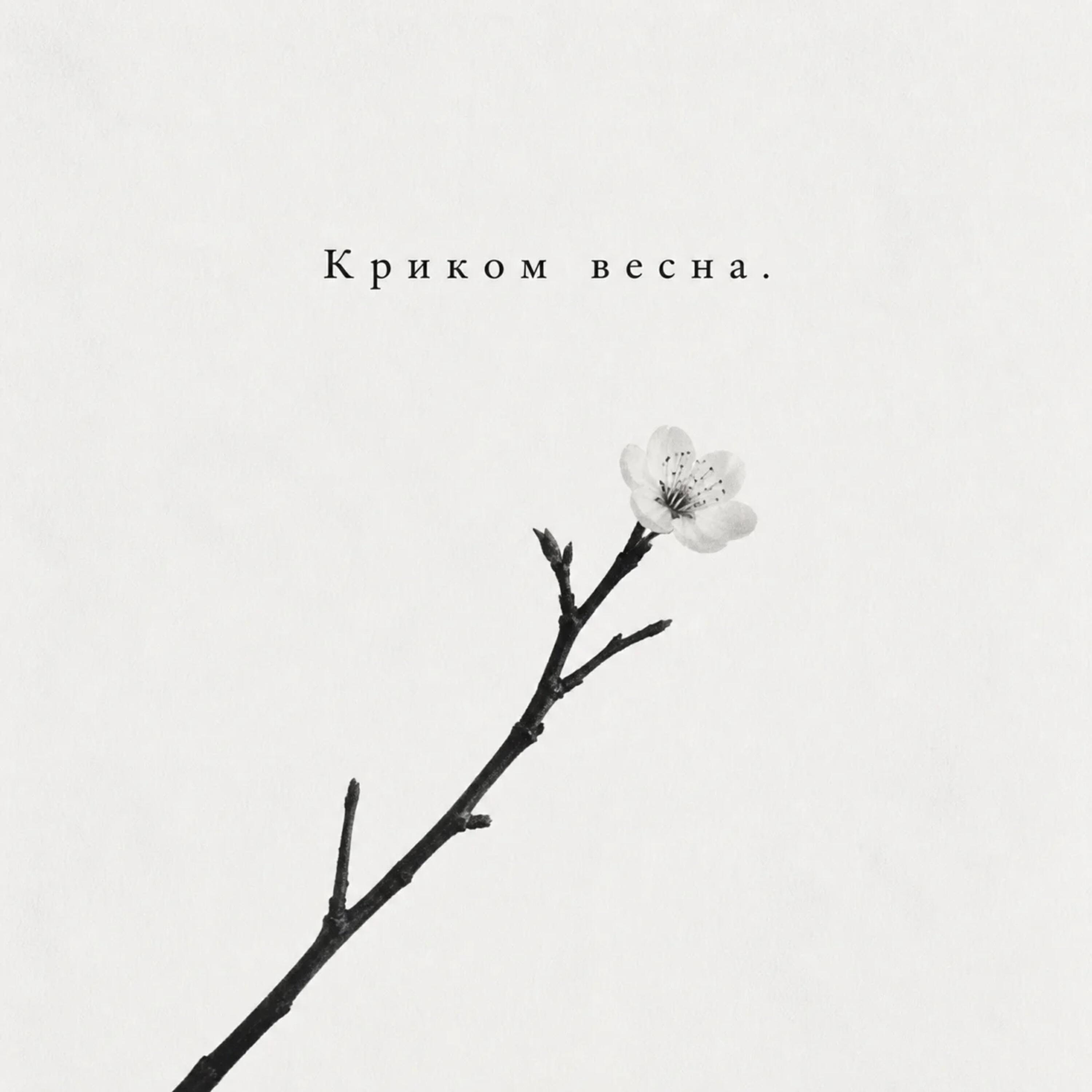Релиз Криком весна