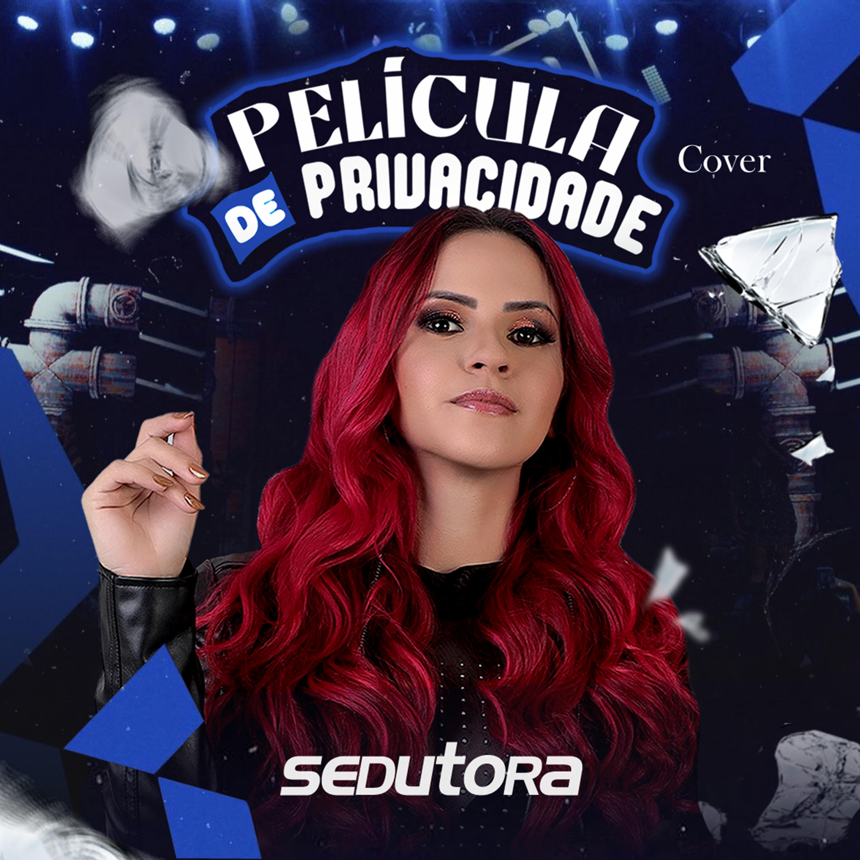 Релиз Película de Privacidade