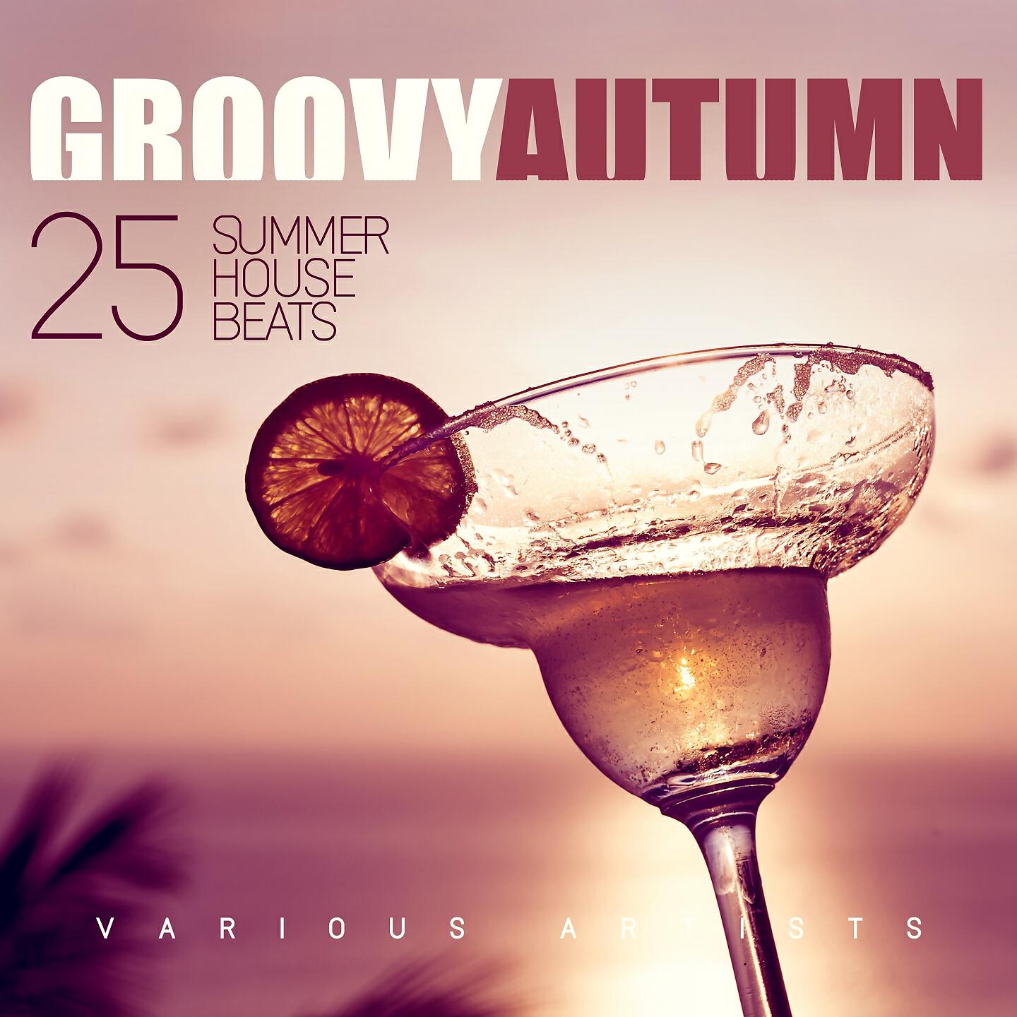 Релиз Groovy Autumn (25 Summer House Beats)