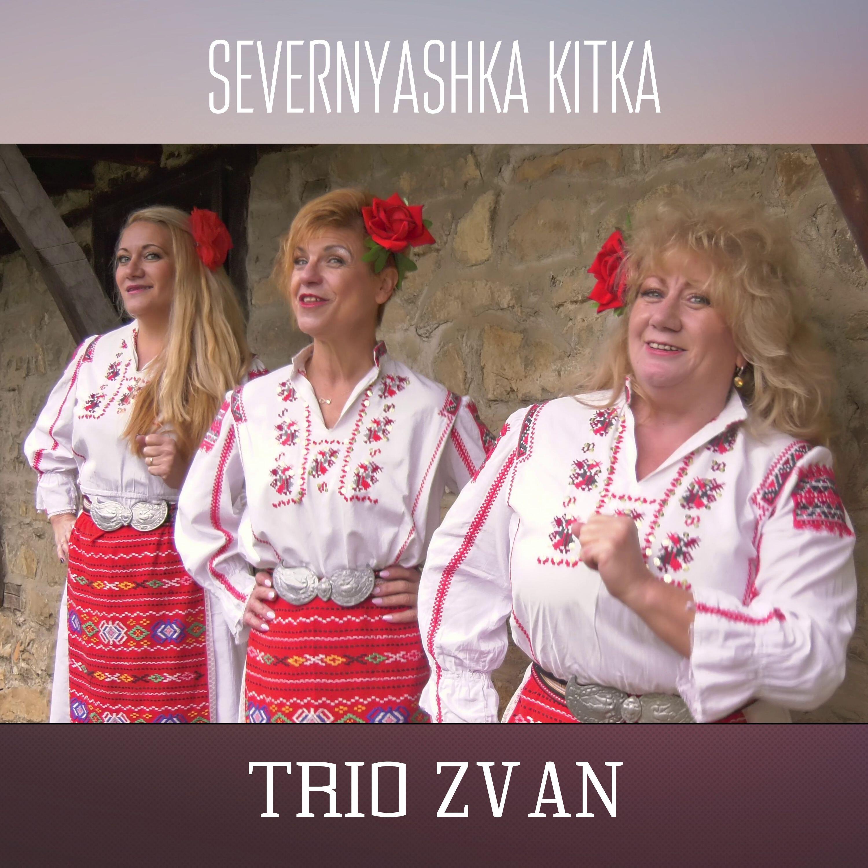 Релиз Severnyashka kitka