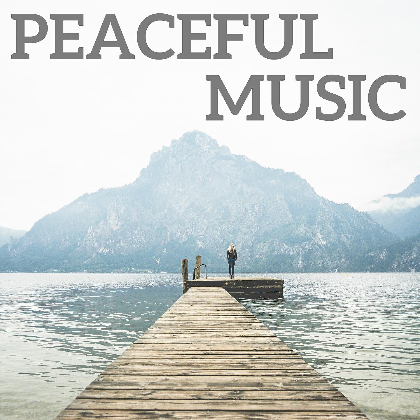 Franz Liszt, Frédéric Chopin, Felix Mendelssohn, Wolfgang Amadeus Mozart, Erik Satie, Ludwig van Beethoven, Claude Debussy, Edvard Grieg, Franz Schubert, Camille Saint-Saëns, Johannes Brahms, Johann Sebastian Bach, Jules Massenet