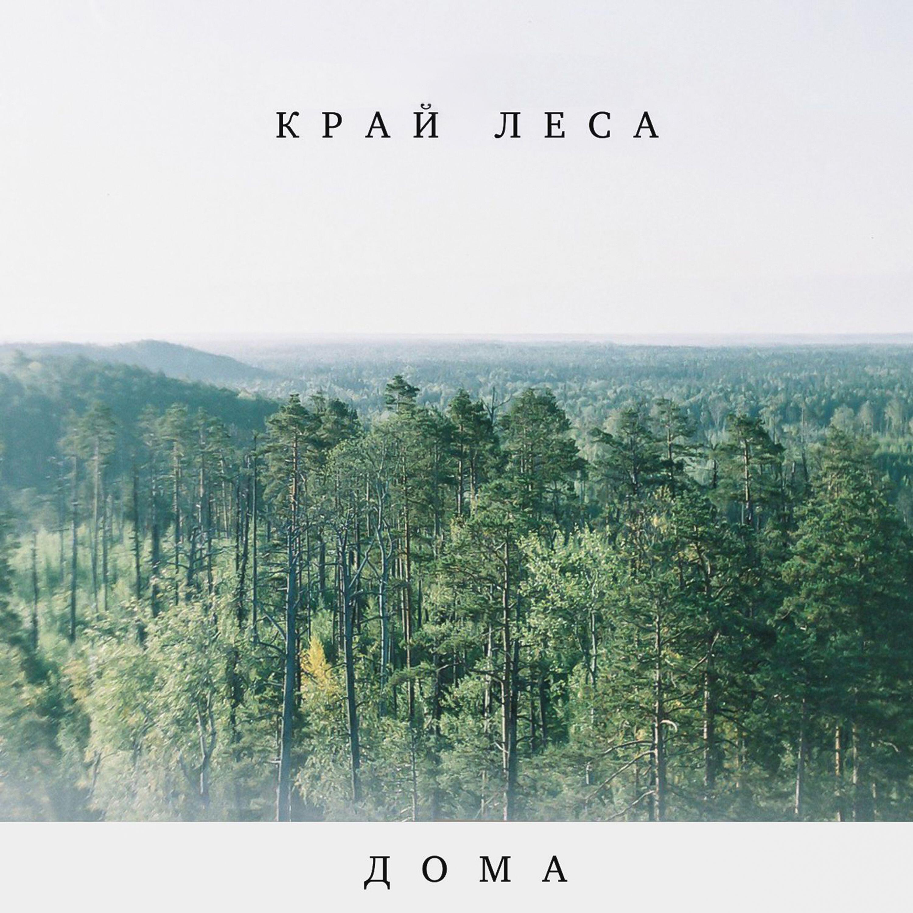 Релиз Дома