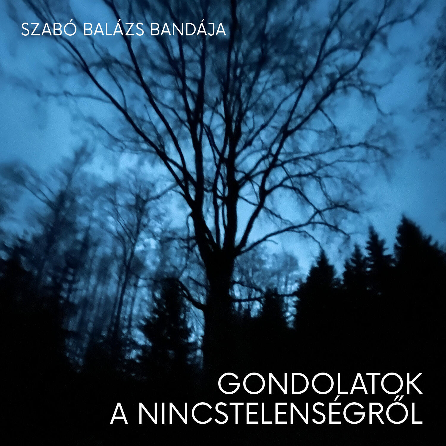 Релиз Gondolatok a nincstelenségről