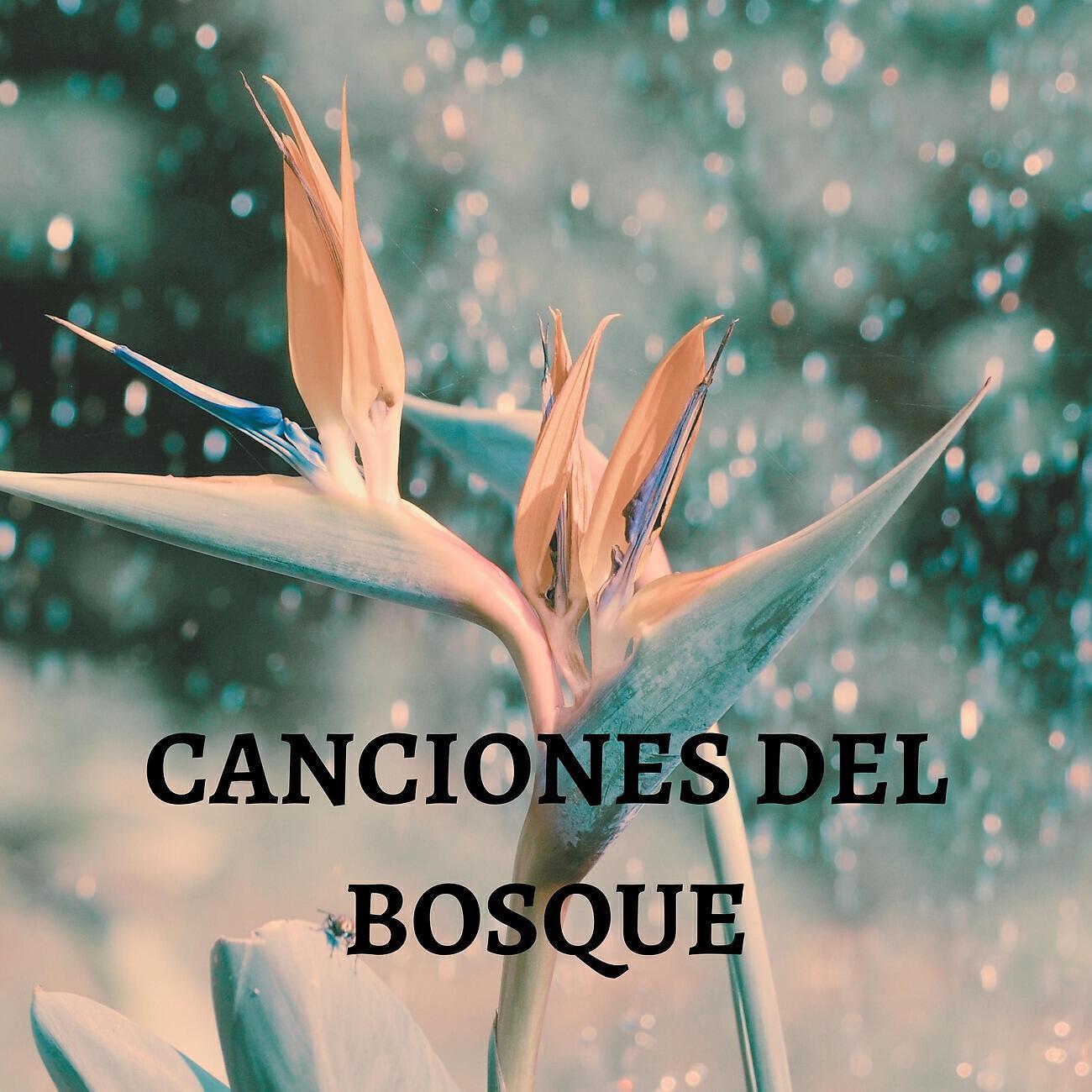 Bosque Ocupado