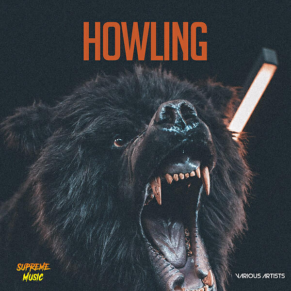 Постер альбома Howling