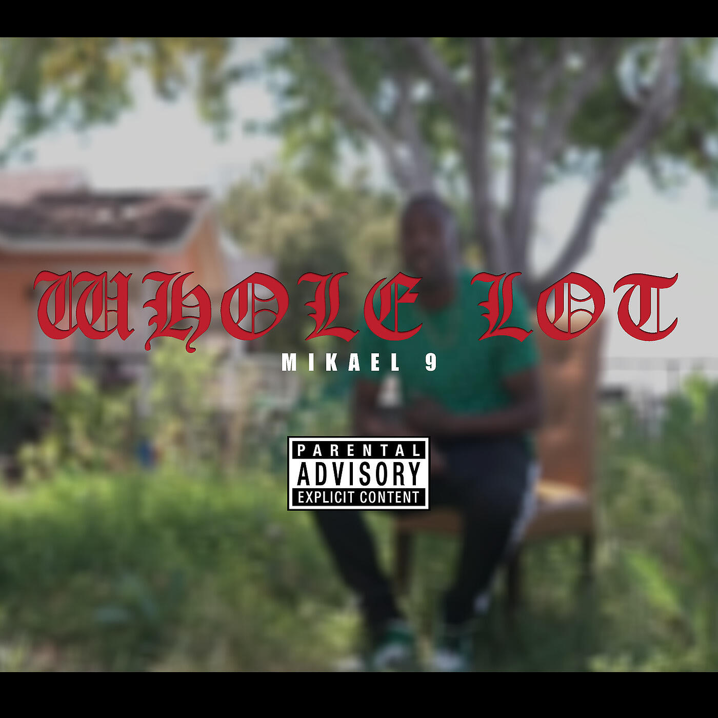 Релиз Whole Lot